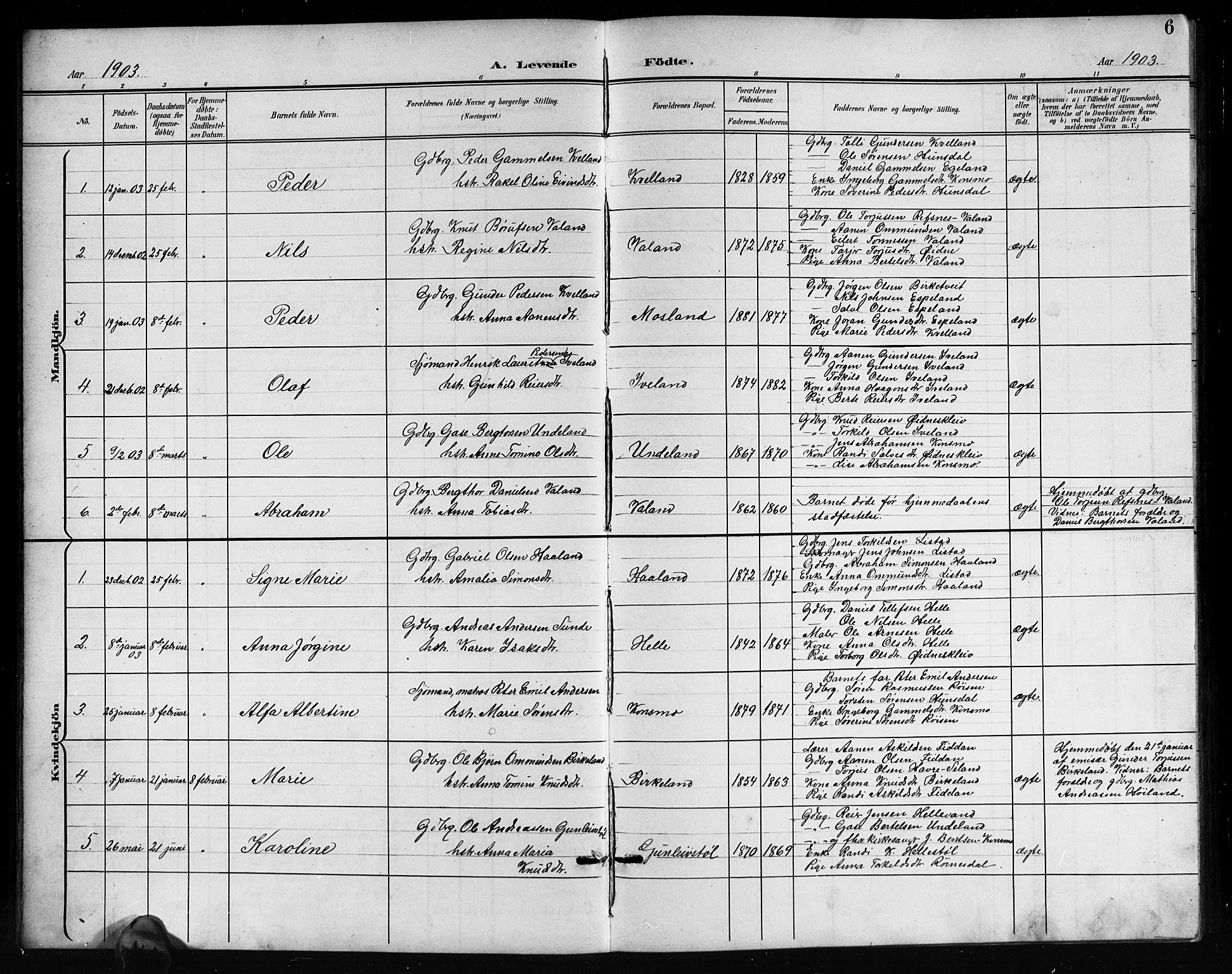 Nord-Audnedal sokneprestkontor, AV/SAK-1111-0032/F/Fb/Fba/L0004: Klokkerbok nr. B 4, 1901-1917, s. 6