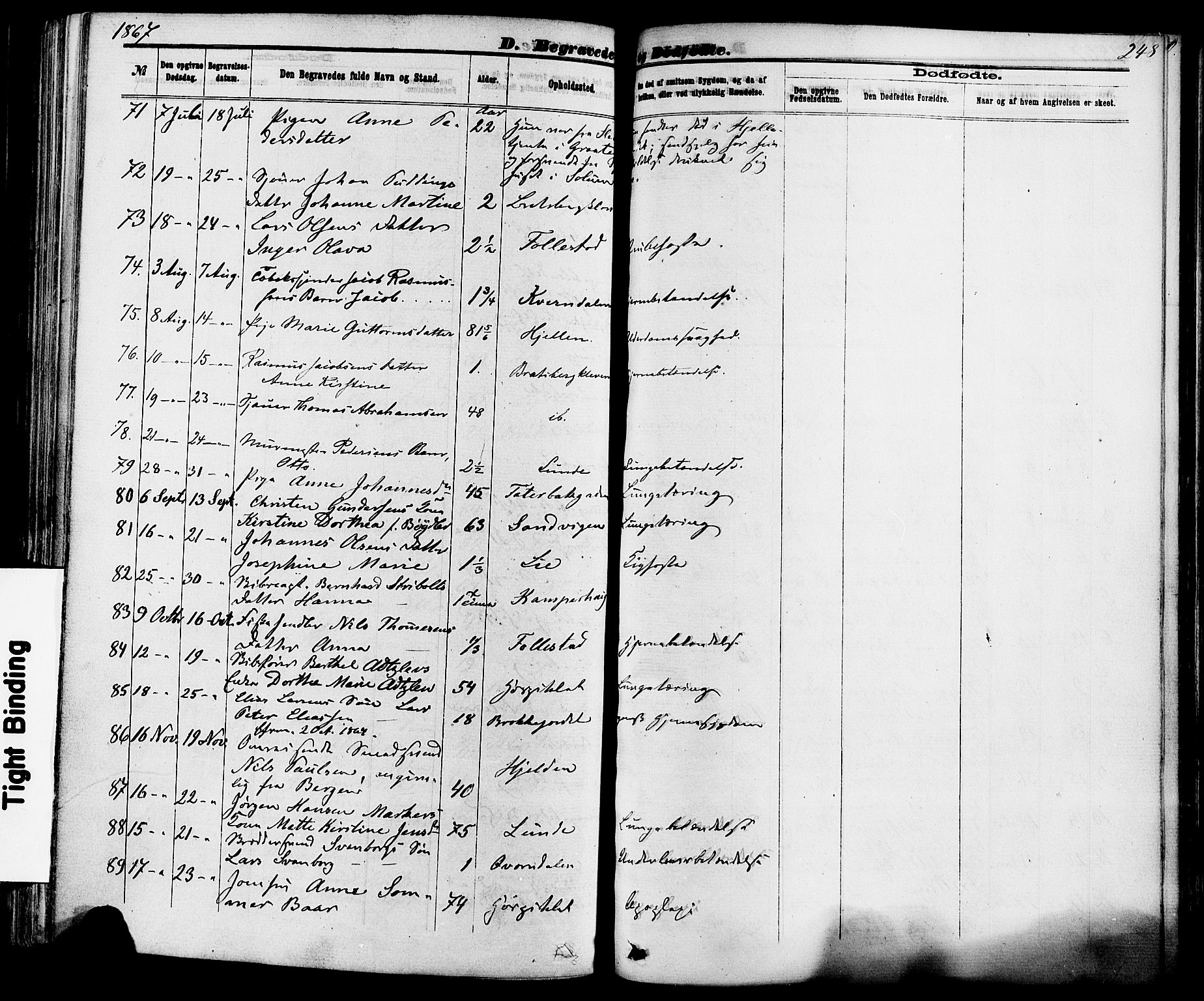 Skien kirkebøker, AV/SAKO-A-302/F/Fa/L0008: Ministerialbok nr. 8, 1866-1877, s. 248