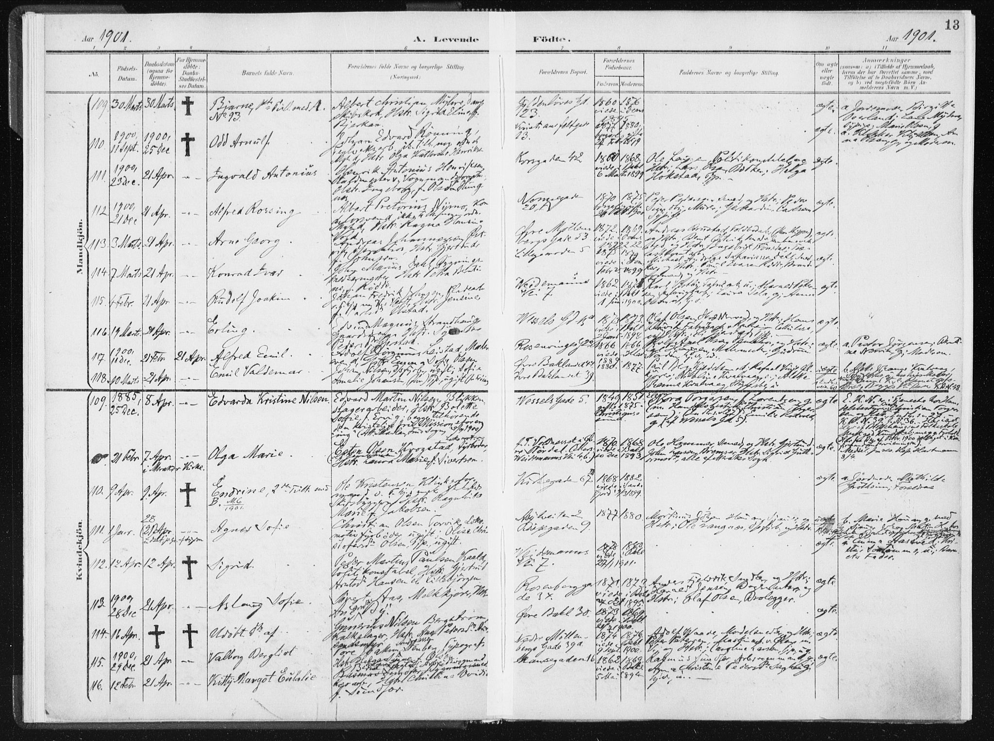 Ministerialprotokoller, klokkerbøker og fødselsregistre - Sør-Trøndelag, SAT/A-1456/604/L0199: Ministerialbok nr. 604A20I, 1901-1906, s. 13