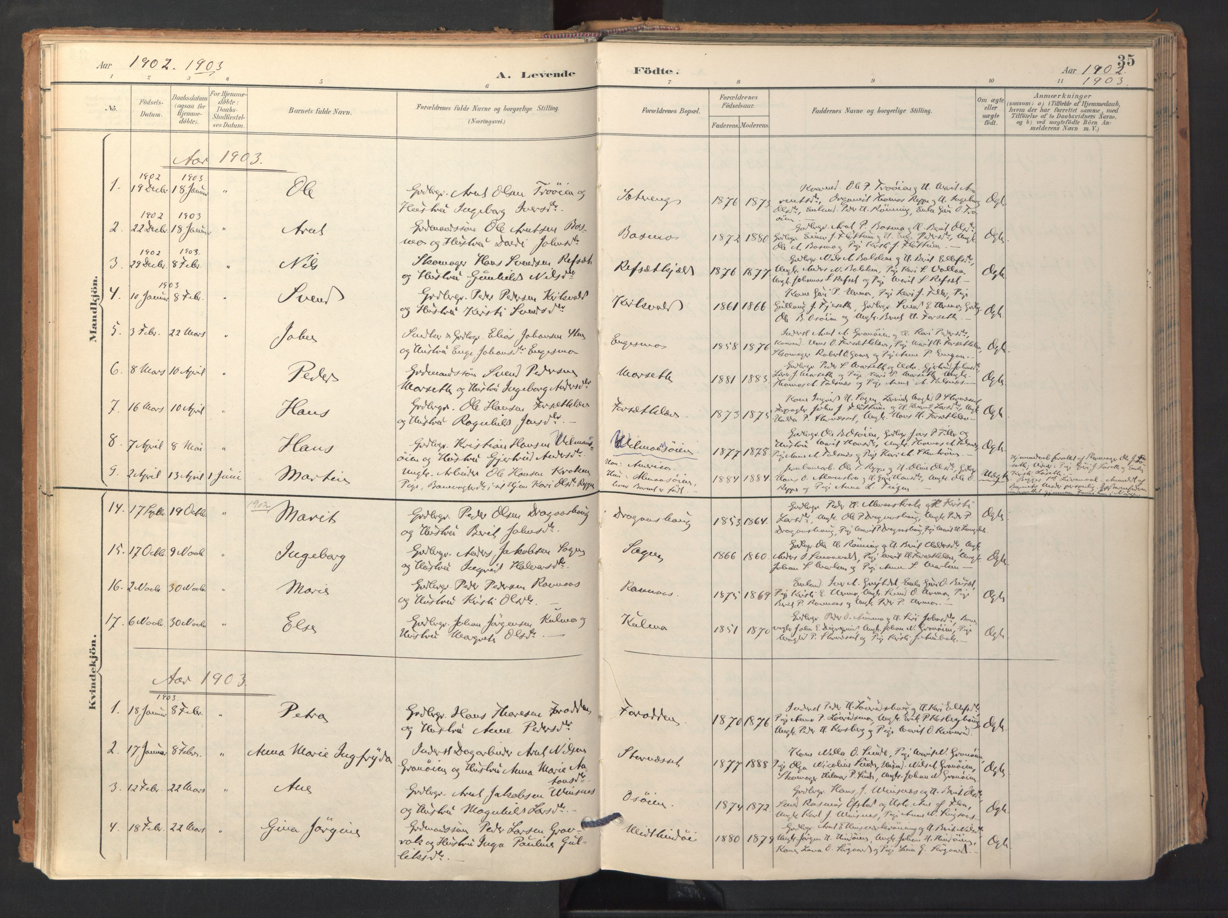 Ministerialprotokoller, klokkerbøker og fødselsregistre - Sør-Trøndelag, AV/SAT-A-1456/688/L1025: Ministerialbok nr. 688A02, 1891-1909, s. 35