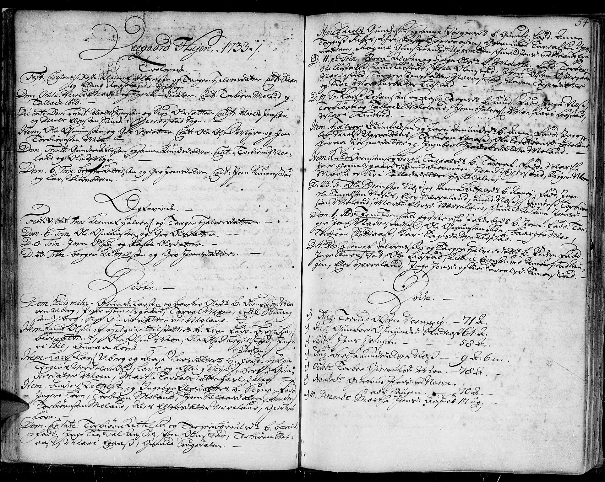 Gjerstad sokneprestkontor, AV/SAK-1111-0014/F/Fa/Faa/L0002: Ministerialbok nr. A 2, 1717-1779, s. 54