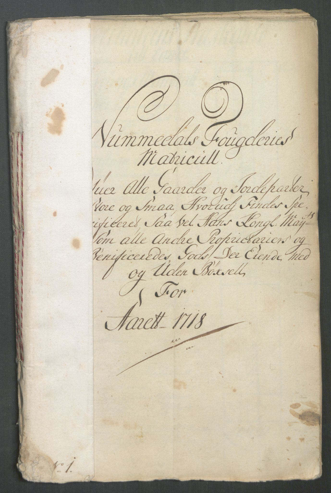 Rentekammeret inntil 1814, Reviderte regnskaper, Fogderegnskap, RA/EA-4092/R64/L4439: Fogderegnskap Namdal, 1718, s. 18