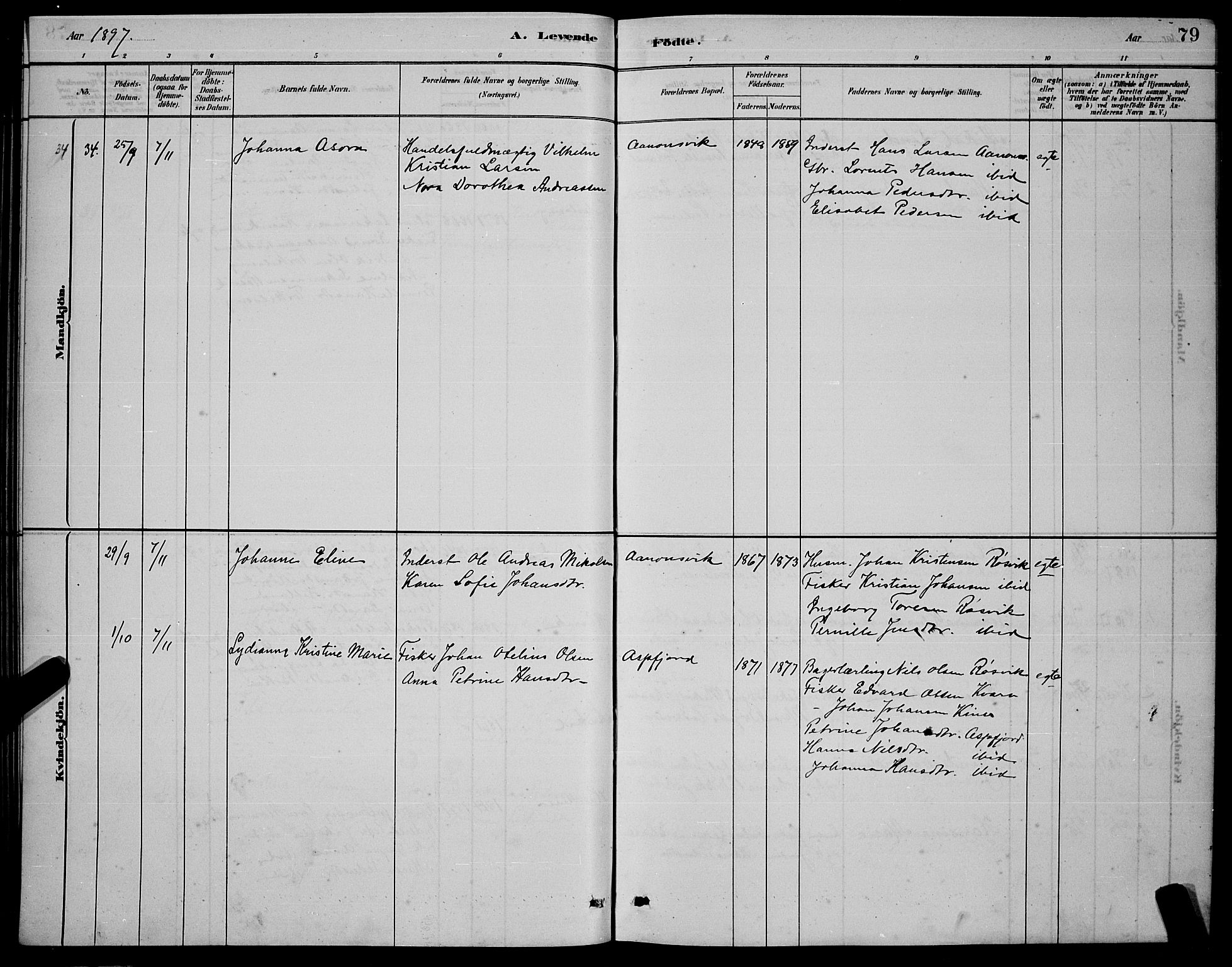 Ministerialprotokoller, klokkerbøker og fødselsregistre - Nordland, AV/SAT-A-1459/853/L0772: Ministerialbok nr. 853A11, 1881-1900, s. 79