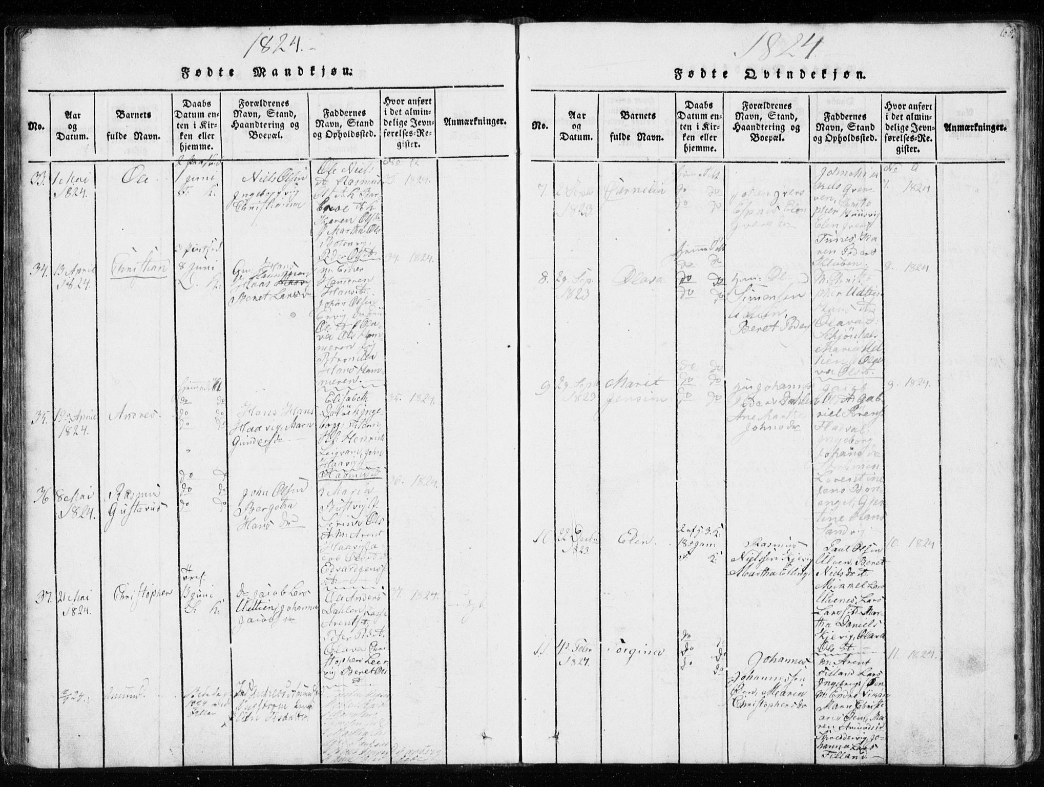 Ministerialprotokoller, klokkerbøker og fødselsregistre - Sør-Trøndelag, AV/SAT-A-1456/634/L0527: Ministerialbok nr. 634A03, 1818-1826, s. 65