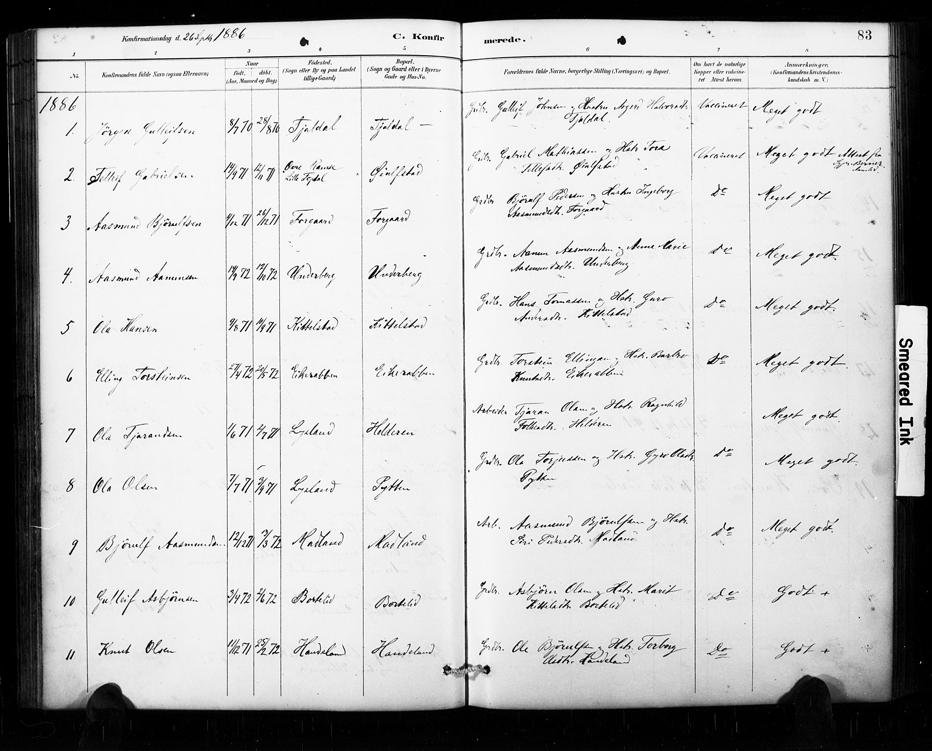 Åseral sokneprestkontor, AV/SAK-1111-0051/F/Fa/L0003: Ministerialbok nr. A 3, 1884-1901, s. 83
