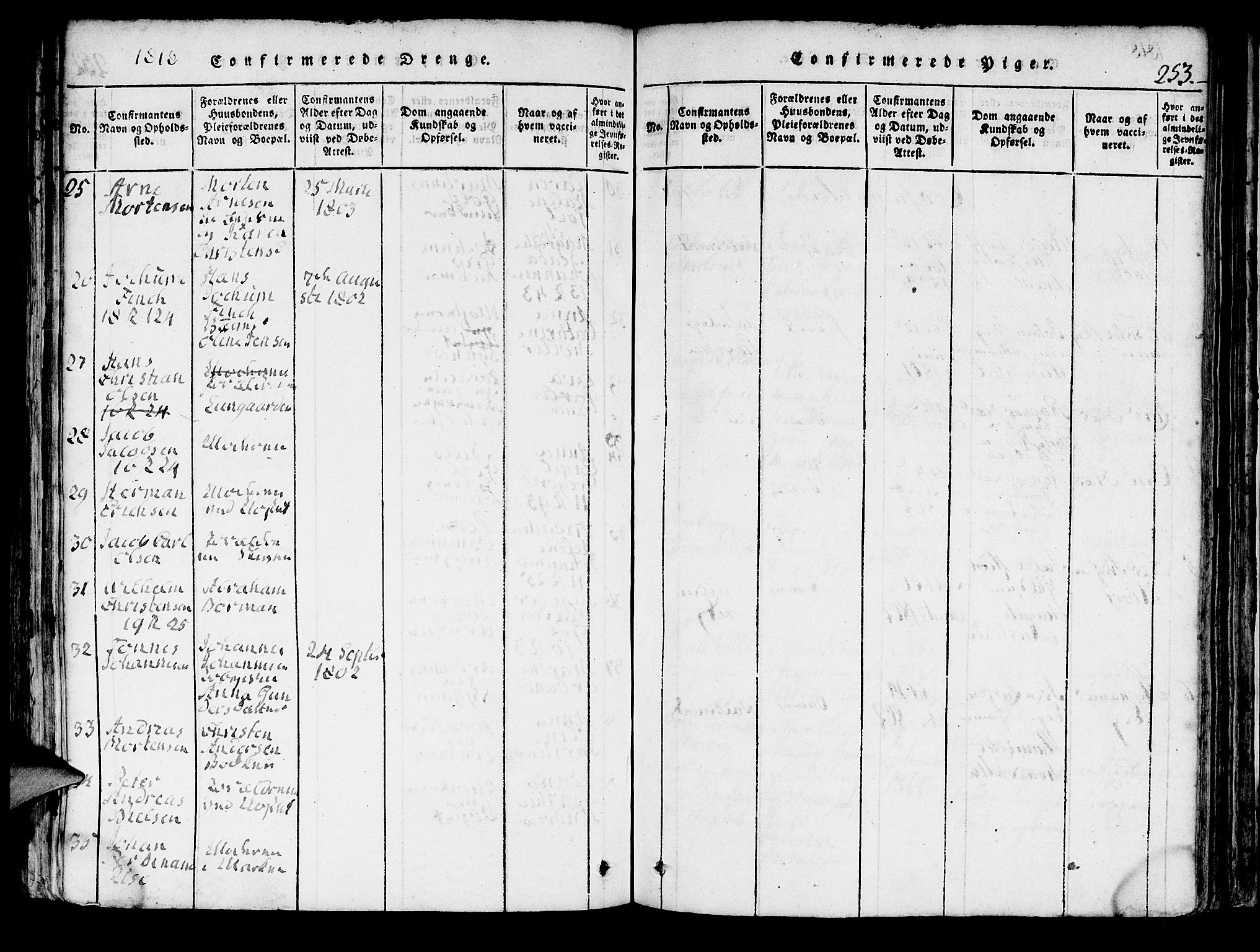 Domkirken sokneprestembete, SAB/A-74801/H/Hab/L0001: Klokkerbok nr. A 1, 1816-1821, s. 253