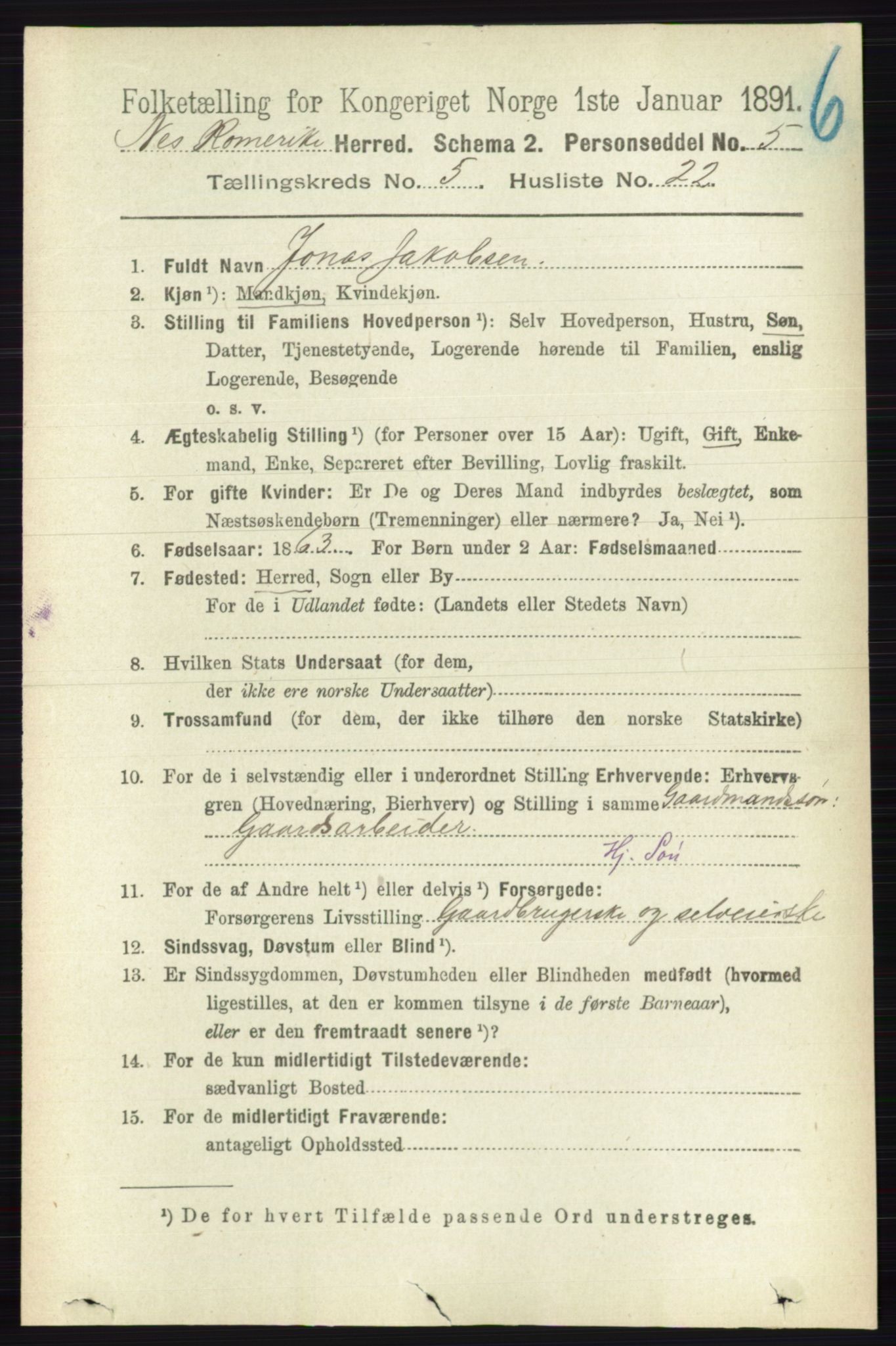 RA, Folketelling 1891 for 0236 Nes herred, 1891, s. 2913