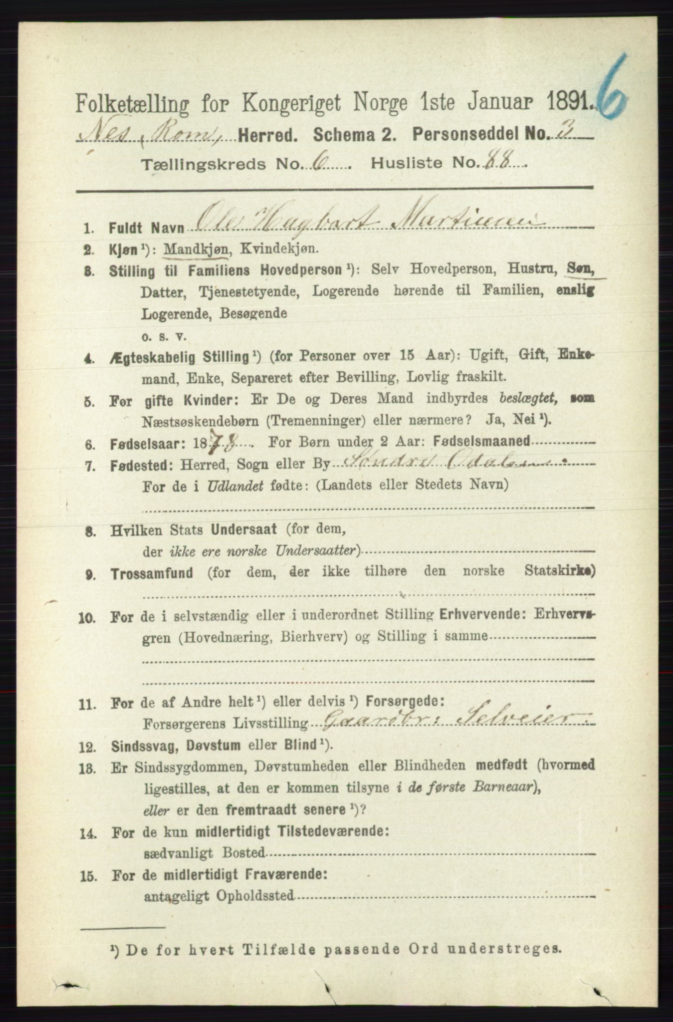 RA, Folketelling 1891 for 0236 Nes herred, 1891, s. 3924