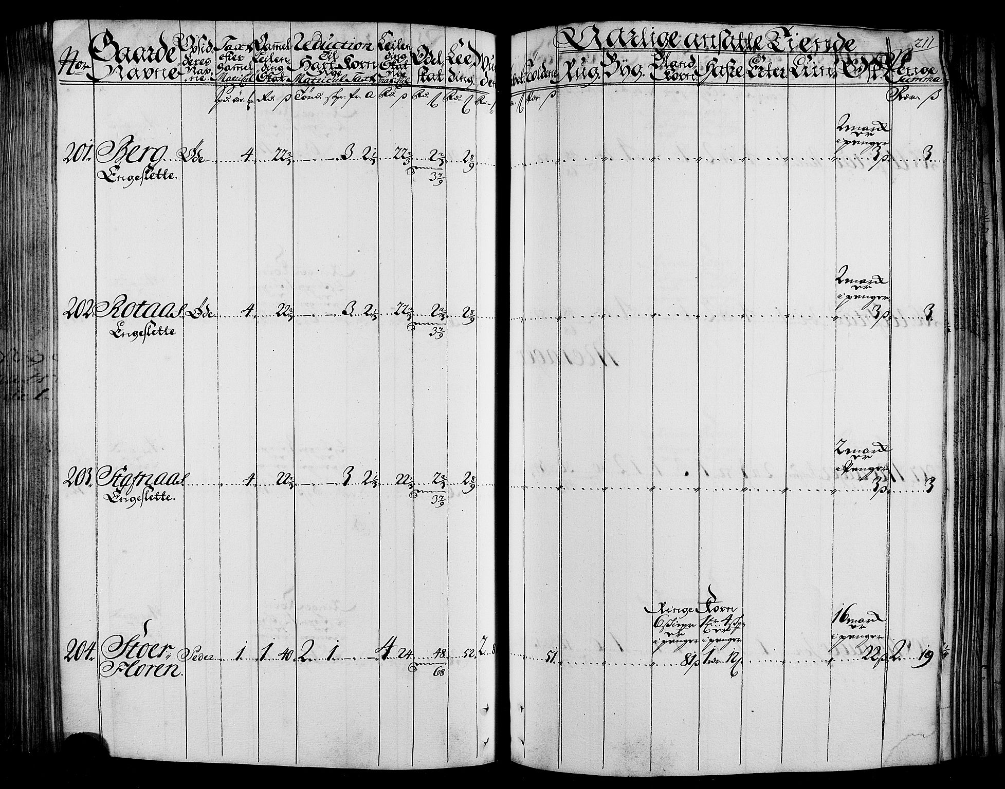 Rentekammeret inntil 1814, Realistisk ordnet avdeling, RA/EA-4070/N/Nb/Nbf/L0165: Stjørdal og Verdal matrikkelprotokoll, 1723, s. 215