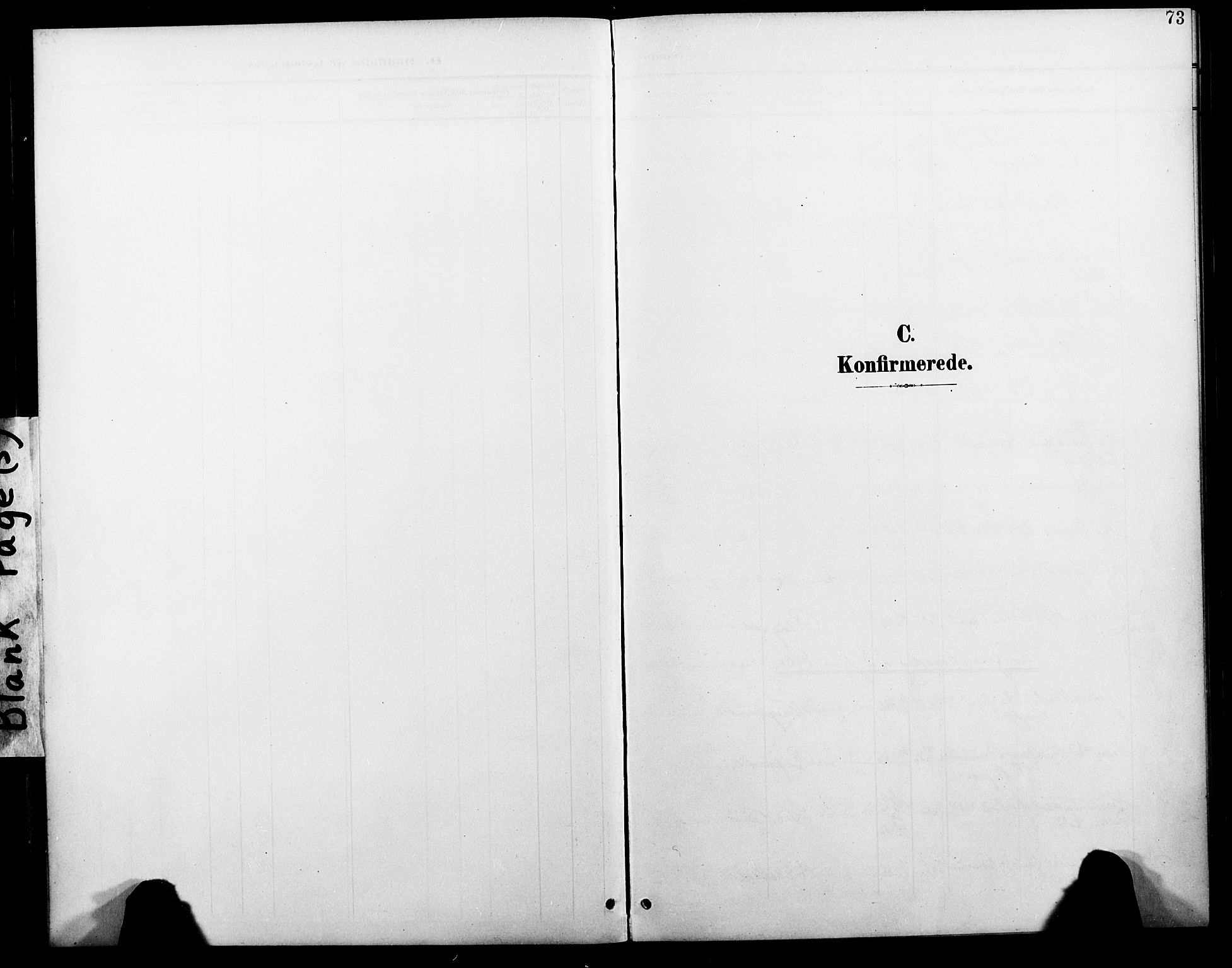 Ministerialprotokoller, klokkerbøker og fødselsregistre - Nordland, AV/SAT-A-1459/804/L0088: Klokkerbok nr. 804C01, 1901-1917, s. 73