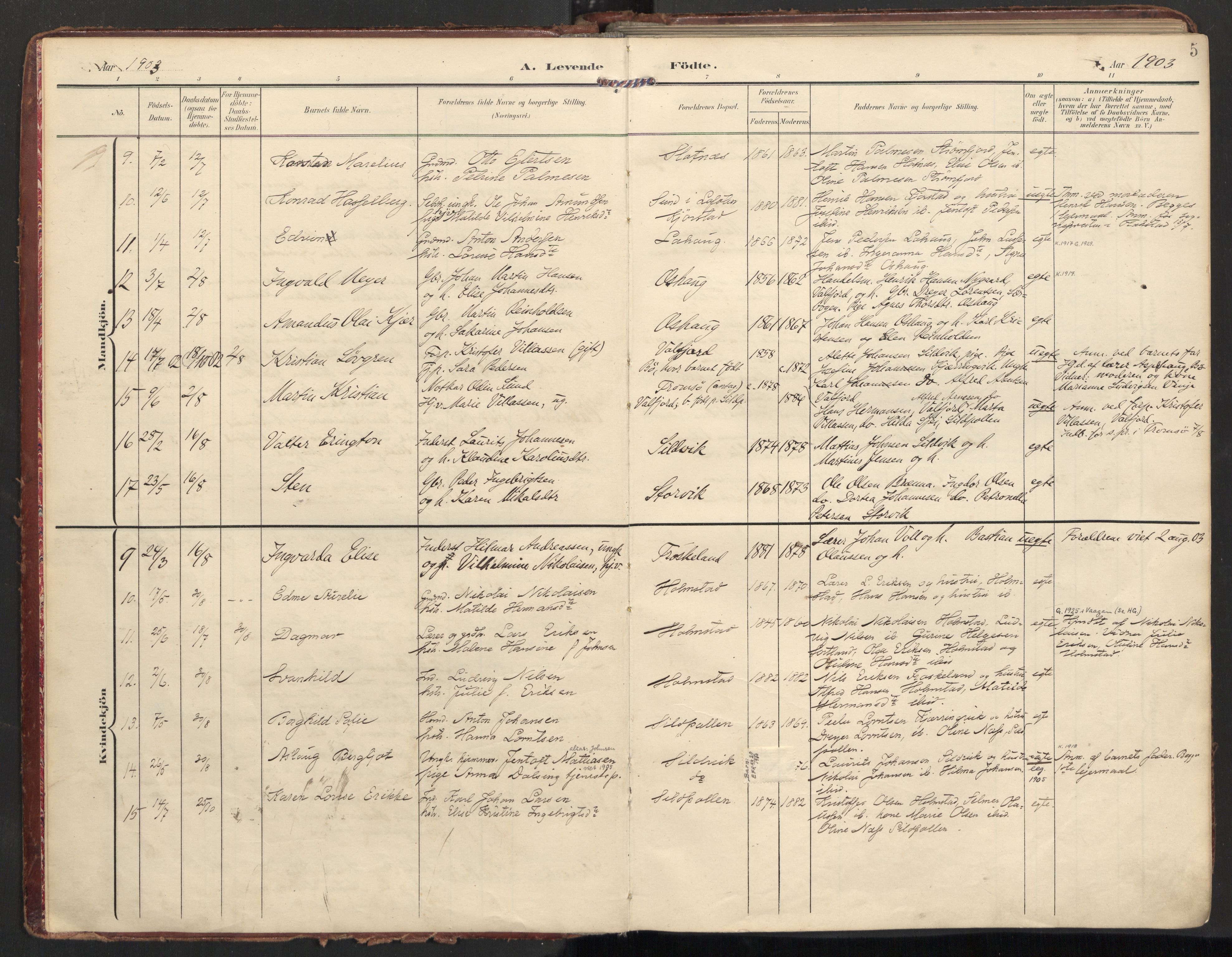 Ministerialprotokoller, klokkerbøker og fødselsregistre - Nordland, AV/SAT-A-1459/890/L1287: Ministerialbok nr. 890A02, 1903-1915, s. 5