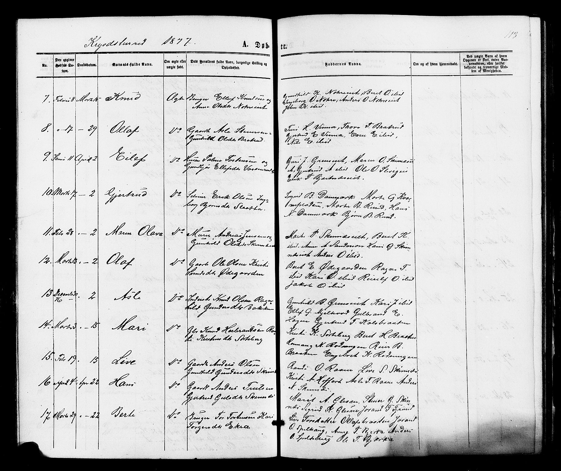Sigdal kirkebøker, SAKO/A-245/F/Fa/L0010: Ministerialbok nr. I 10 /2, 1872-1878, s. 113