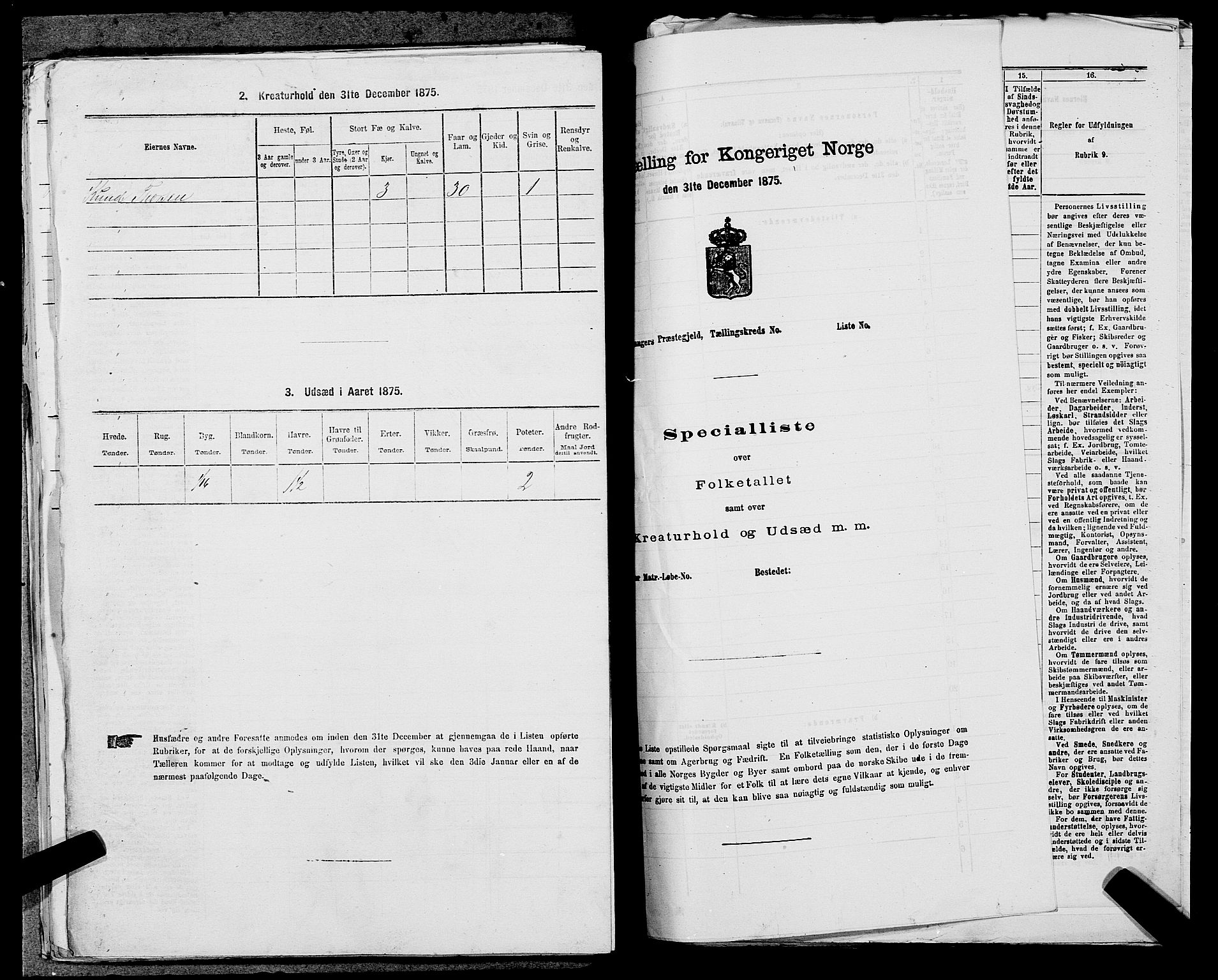 SAST, Folketelling 1875 for 1133P Hjelmeland prestegjeld, 1875, s. 901