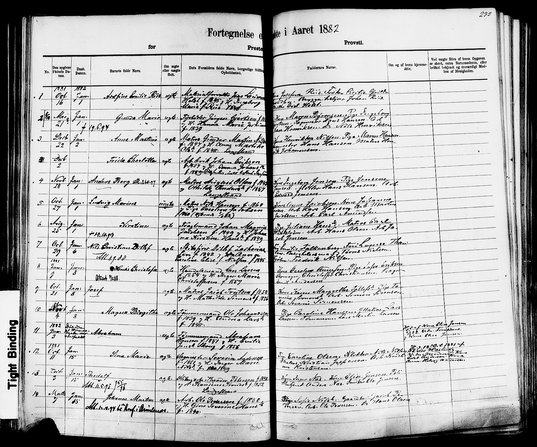 Larvik kirkebøker, SAKO/A-352/F/Fa/L0006: Ministerialbok nr. I 6, 1871-1883, s. 235