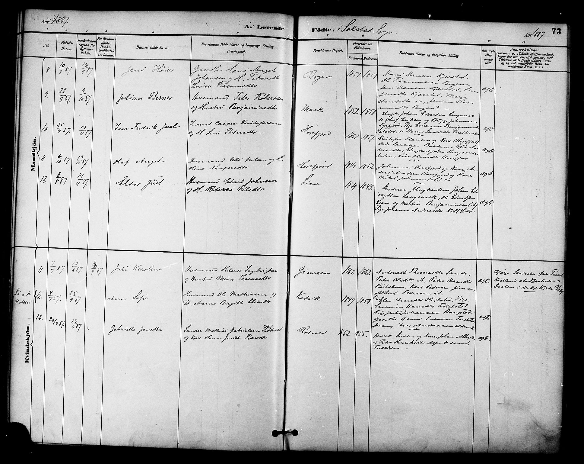 Ministerialprotokoller, klokkerbøker og fødselsregistre - Nordland, AV/SAT-A-1459/810/L0151: Ministerialbok nr. 810A10 /2, 1885-1895, s. 73