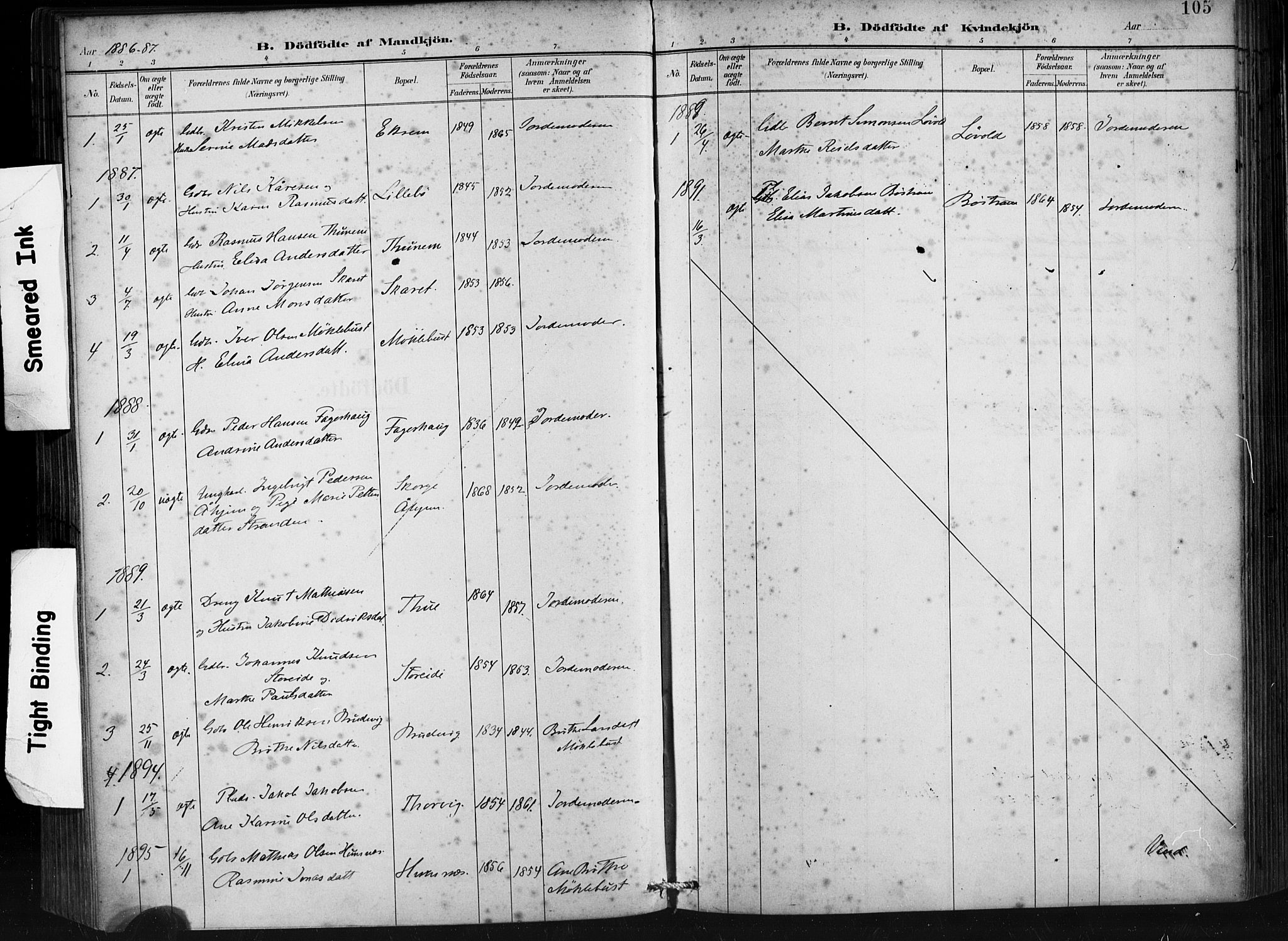 Ministerialprotokoller, klokkerbøker og fødselsregistre - Møre og Romsdal, SAT/A-1454/501/L0008: Ministerialbok nr. 501A08, 1885-1901, s. 105