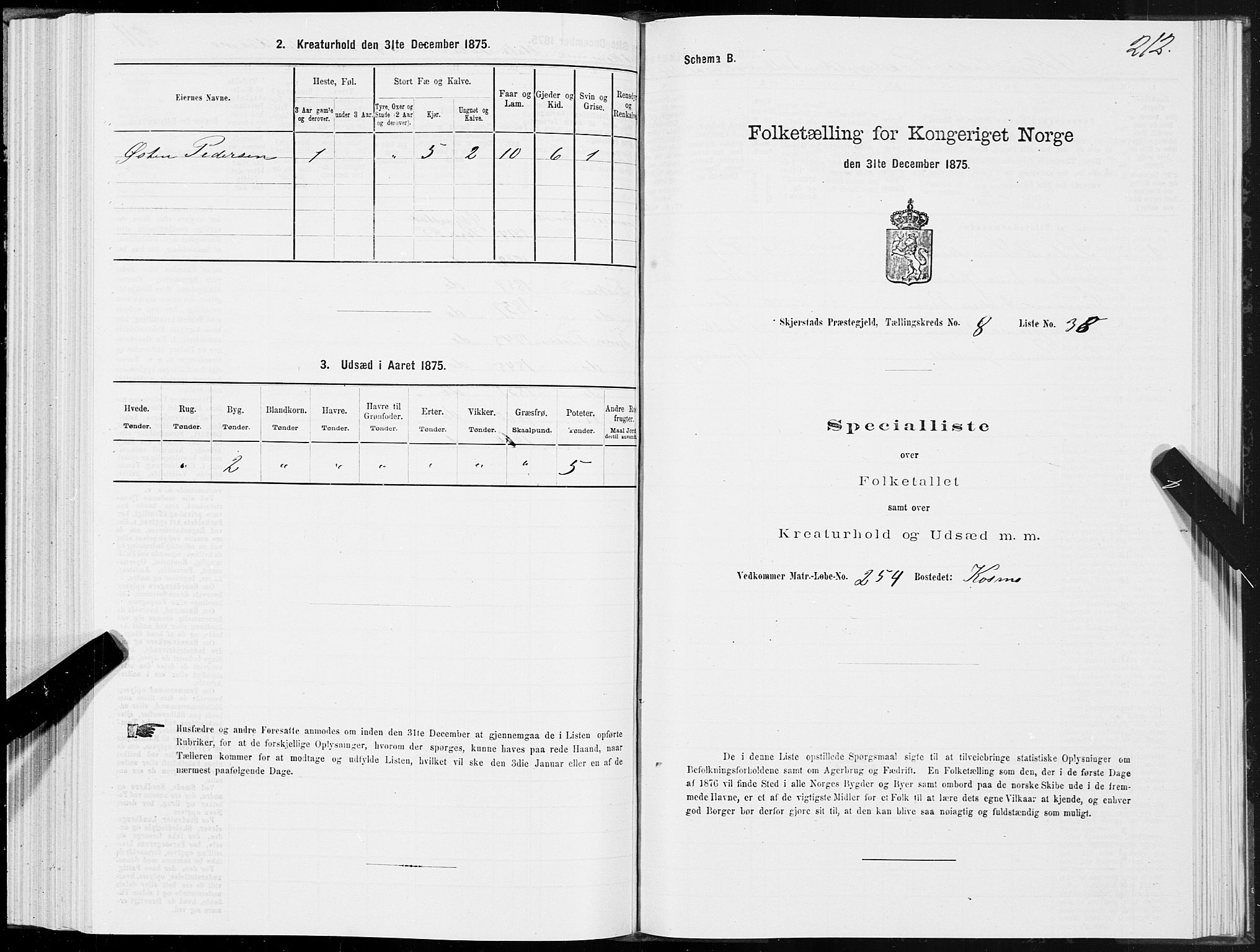 SAT, Folketelling 1875 for 1842P Skjerstad prestegjeld, 1875, s. 4212