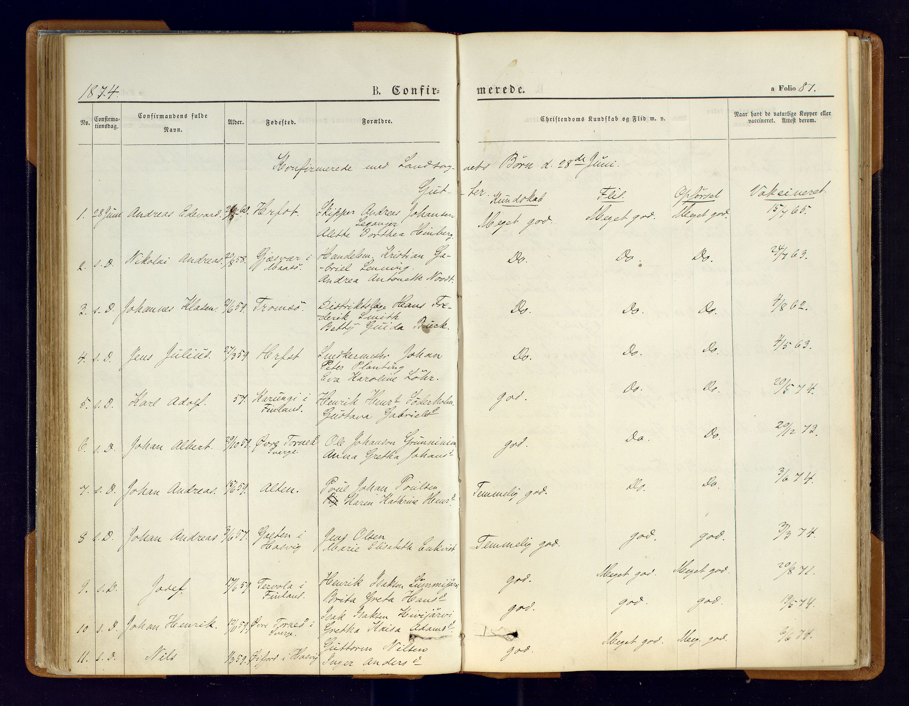 Hammerfest sokneprestkontor, AV/SATØ-S-1347/H/Ha/L0006.kirke: Ministerialbok nr. 6, 1869-1877, s. 87