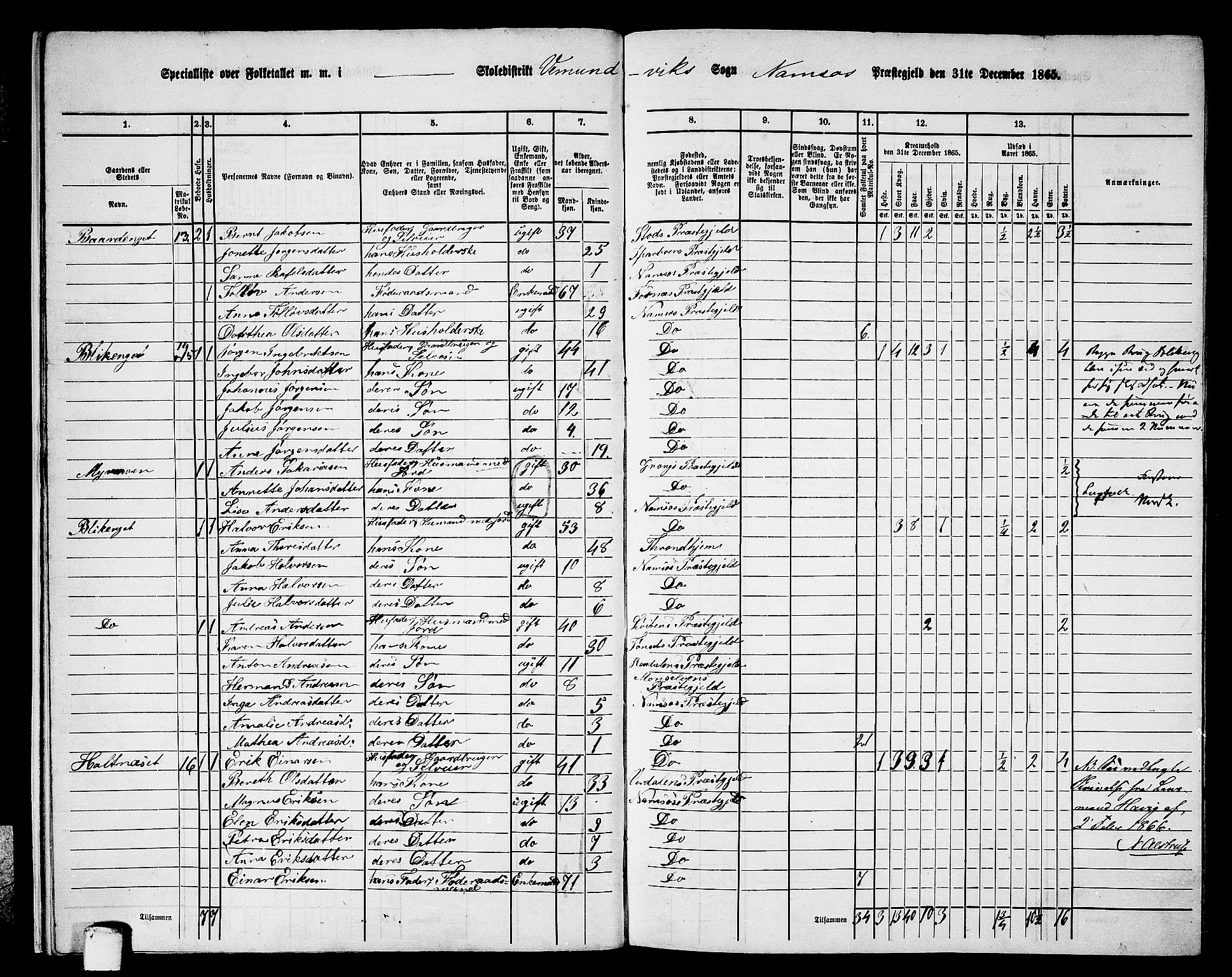 RA, Folketelling 1865 for 1745L Namsos prestegjeld, Vemundvik sokn og Sævik sokn, 1865, s. 12