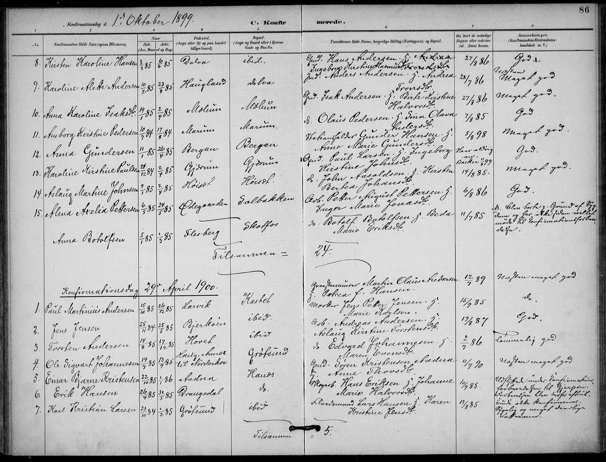 Solum kirkebøker, AV/SAKO-A-306/F/Fb/L0002: Ministerialbok nr. II 2, 1893-1901, s. 86