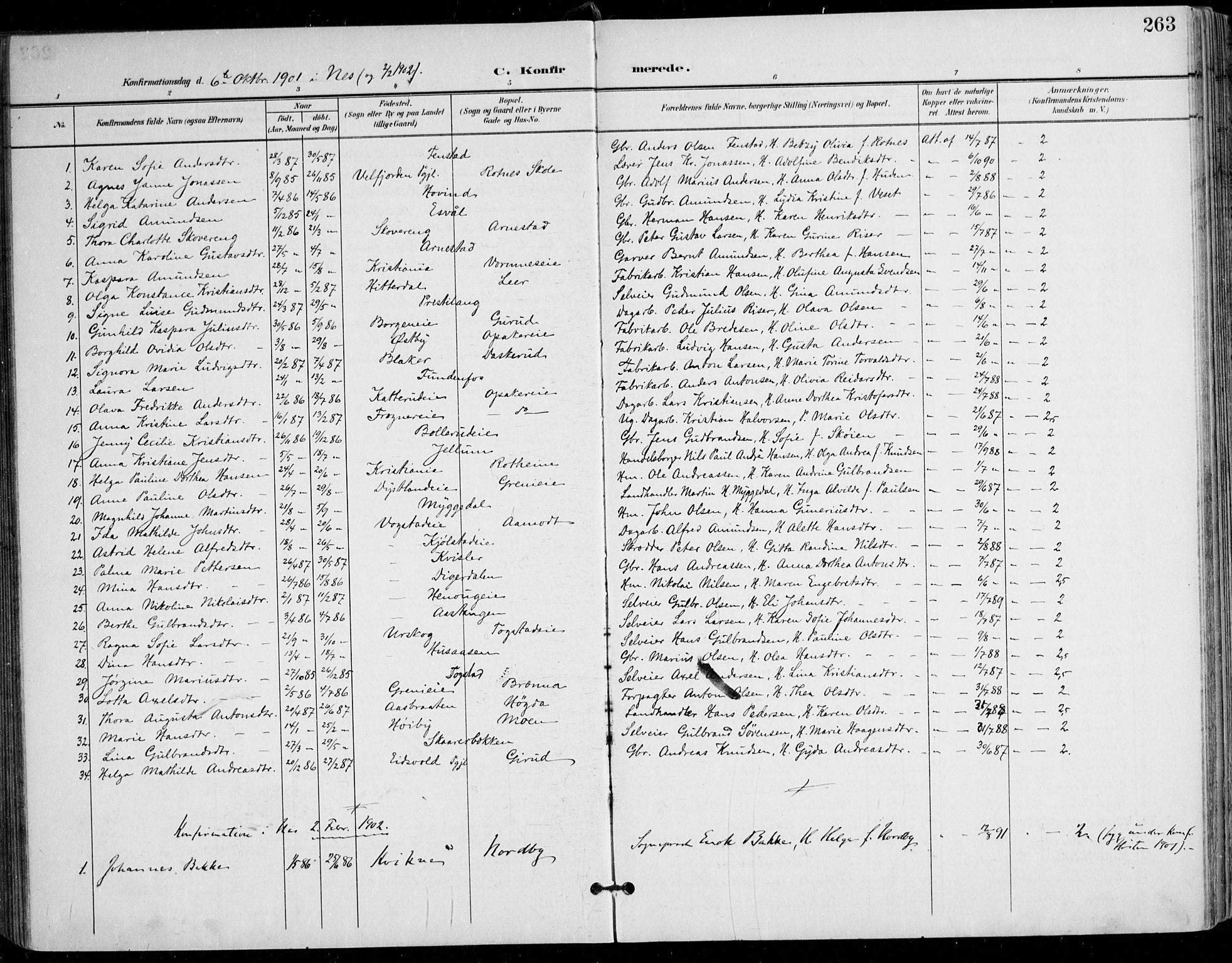 Nes prestekontor Kirkebøker, AV/SAO-A-10410/F/Fa/L0011: Ministerialbok nr. I 11, 1899-1918, s. 263