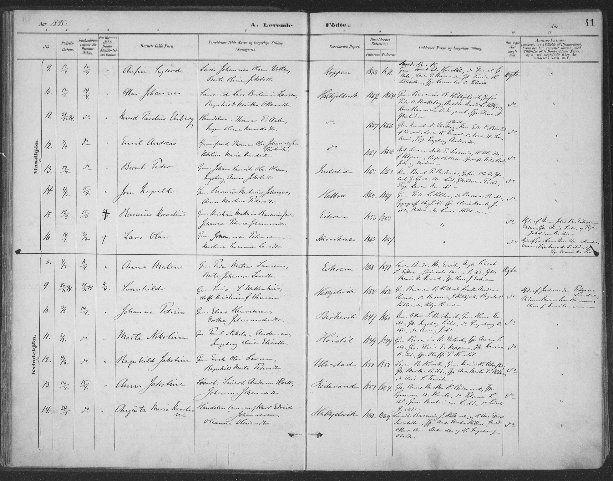 Ministerialprotokoller, klokkerbøker og fødselsregistre - Møre og Romsdal, AV/SAT-A-1454/511/L0142: Ministerialbok nr. 511A09, 1891-1905, s. 41