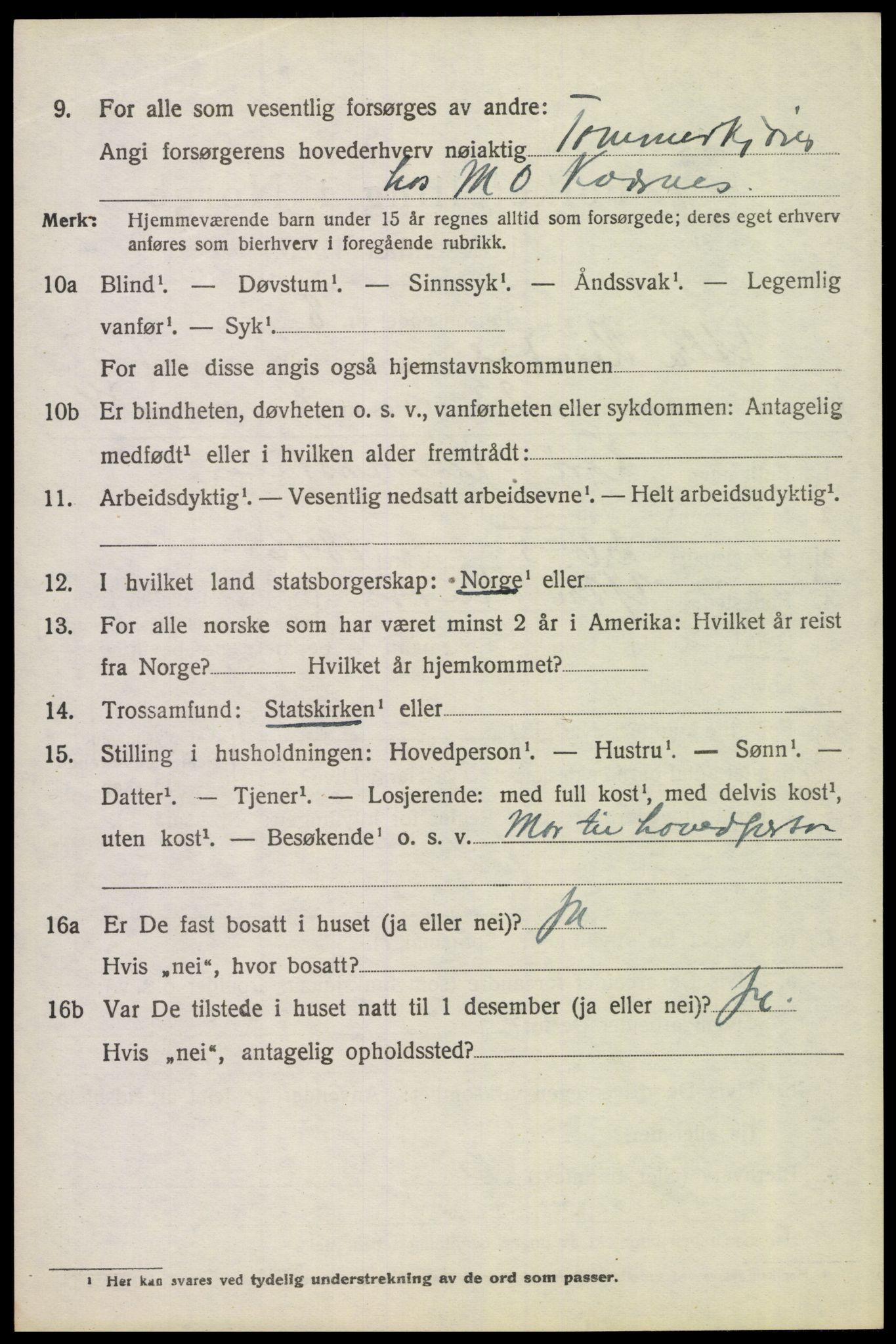 SAH, Folketelling 1920 for 0432 Ytre Rendal herred, 1920, s. 2910