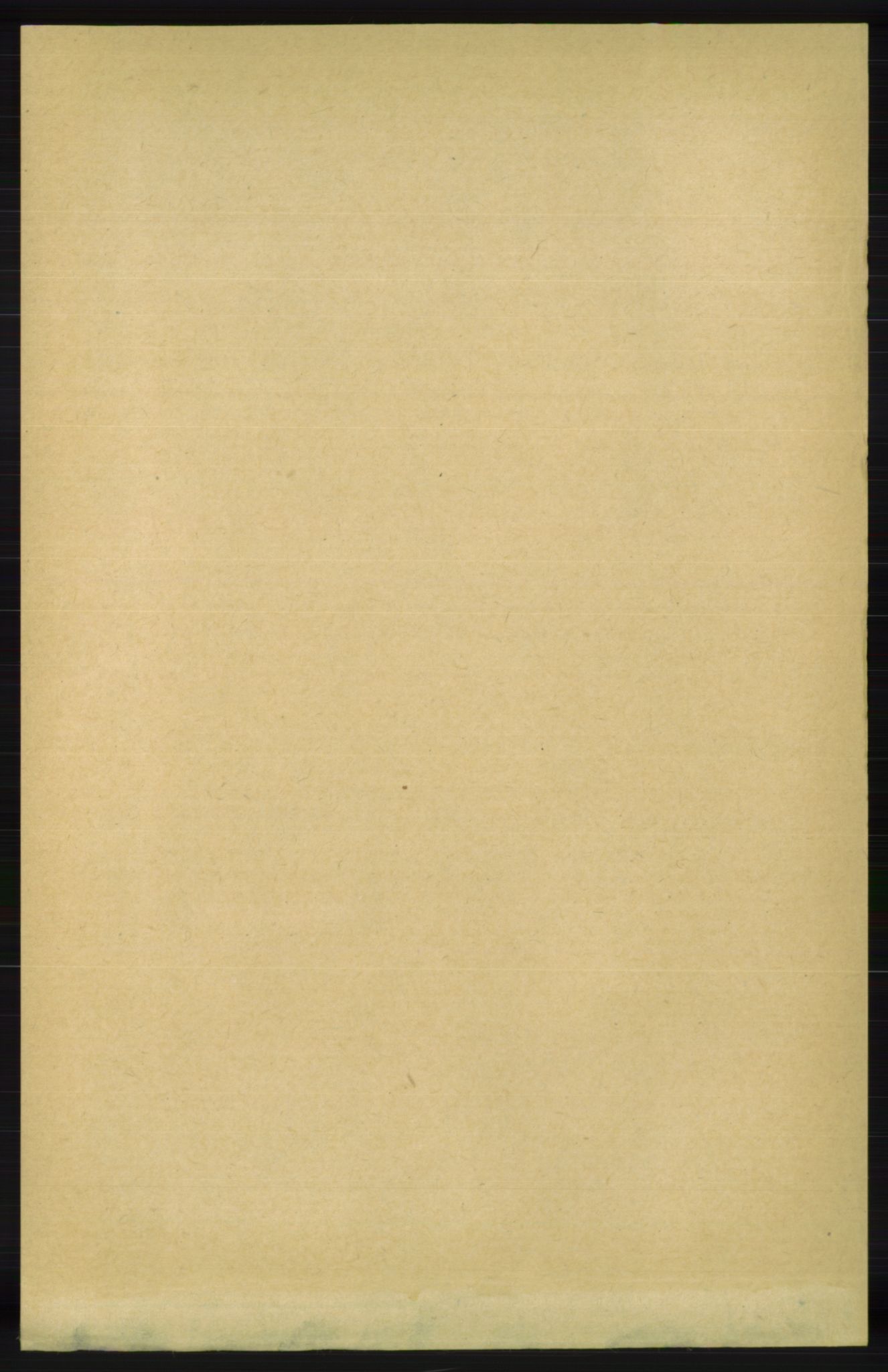 RA, Folketelling 1891 for 1029 Sør-Audnedal herred, 1891, s. 806