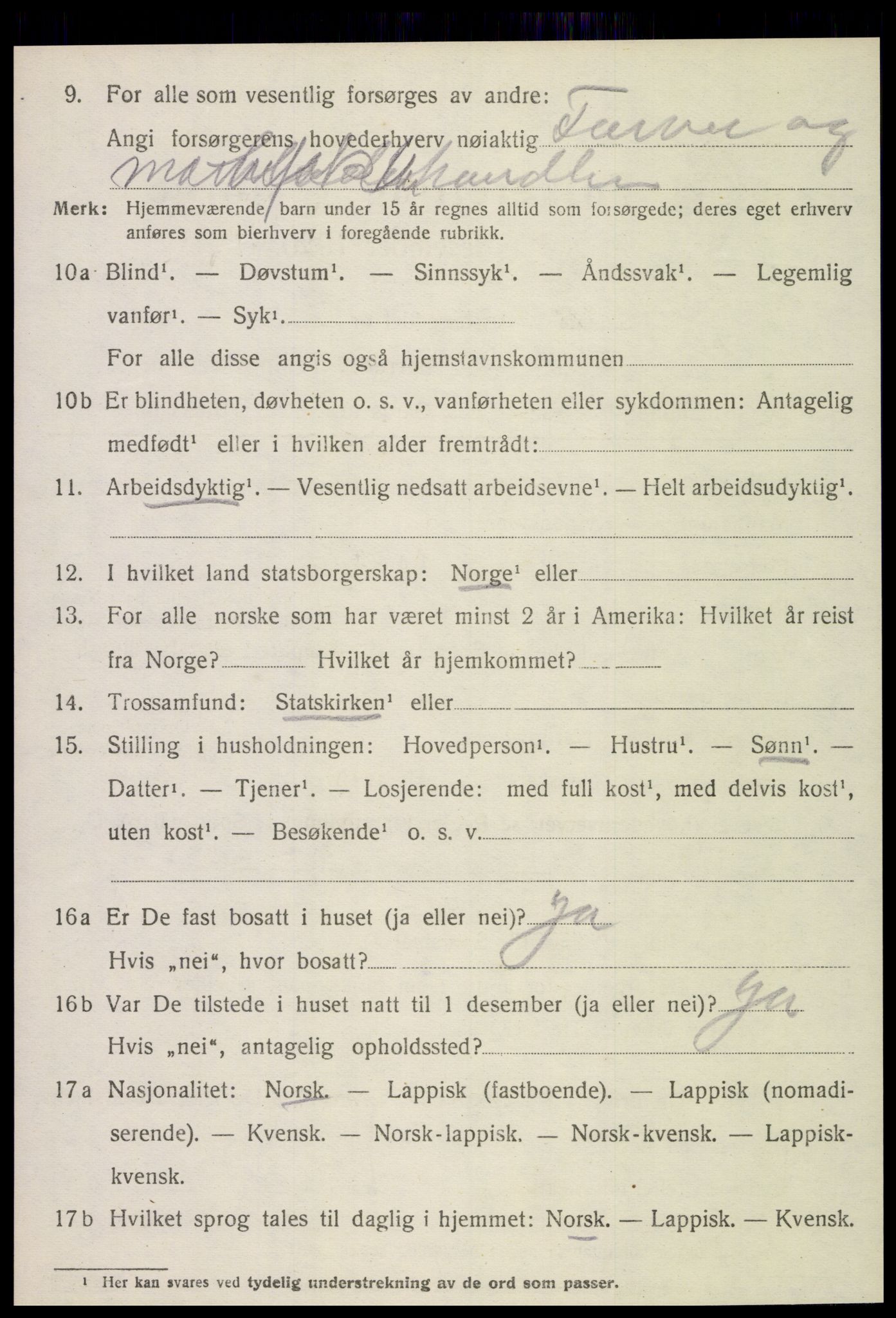 SAT, Folketelling 1920 for 1714 Stjørdal herred, 1920, s. 3951