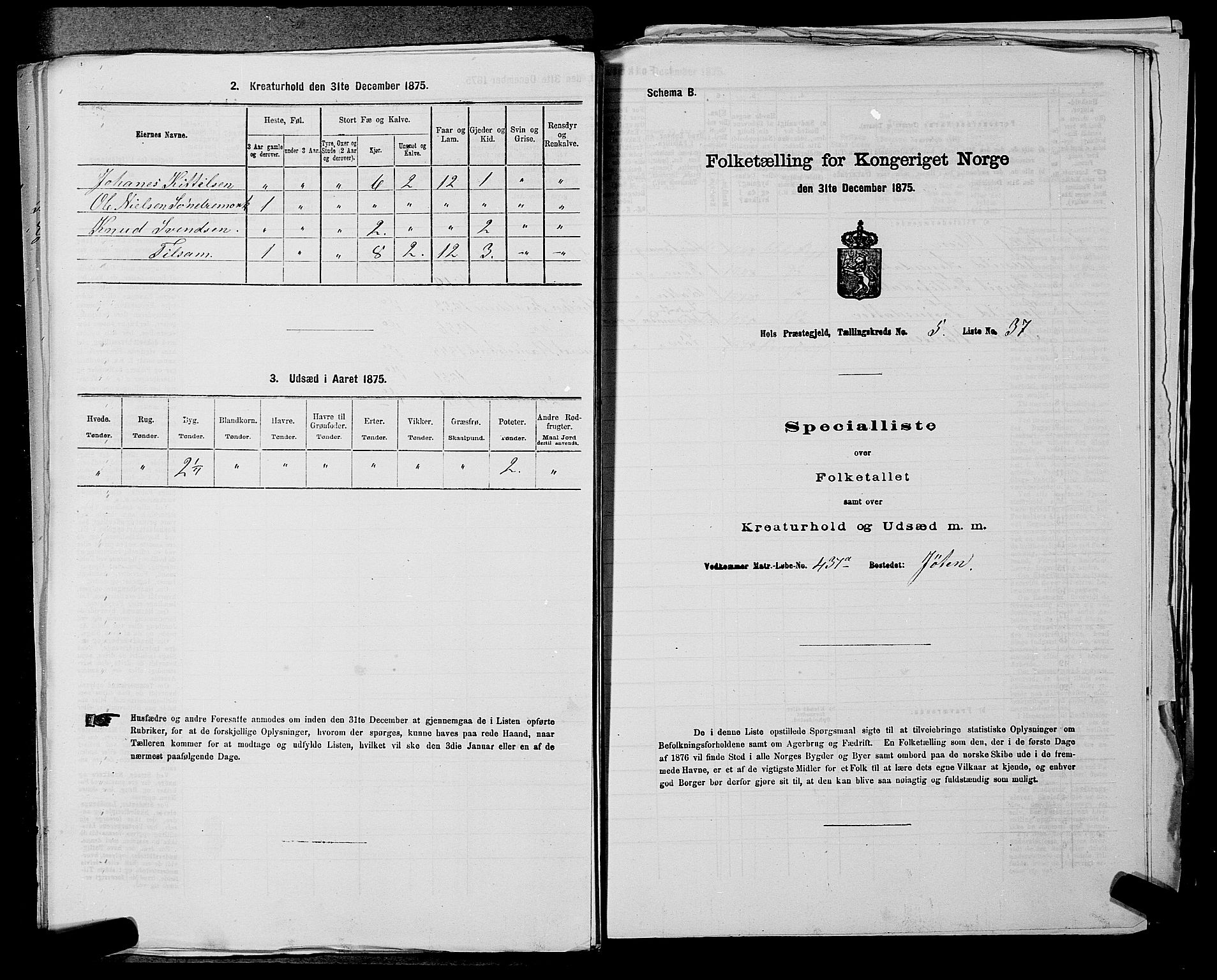 SAKO, Folketelling 1875 for 0620P Hol prestegjeld, 1875, s. 708