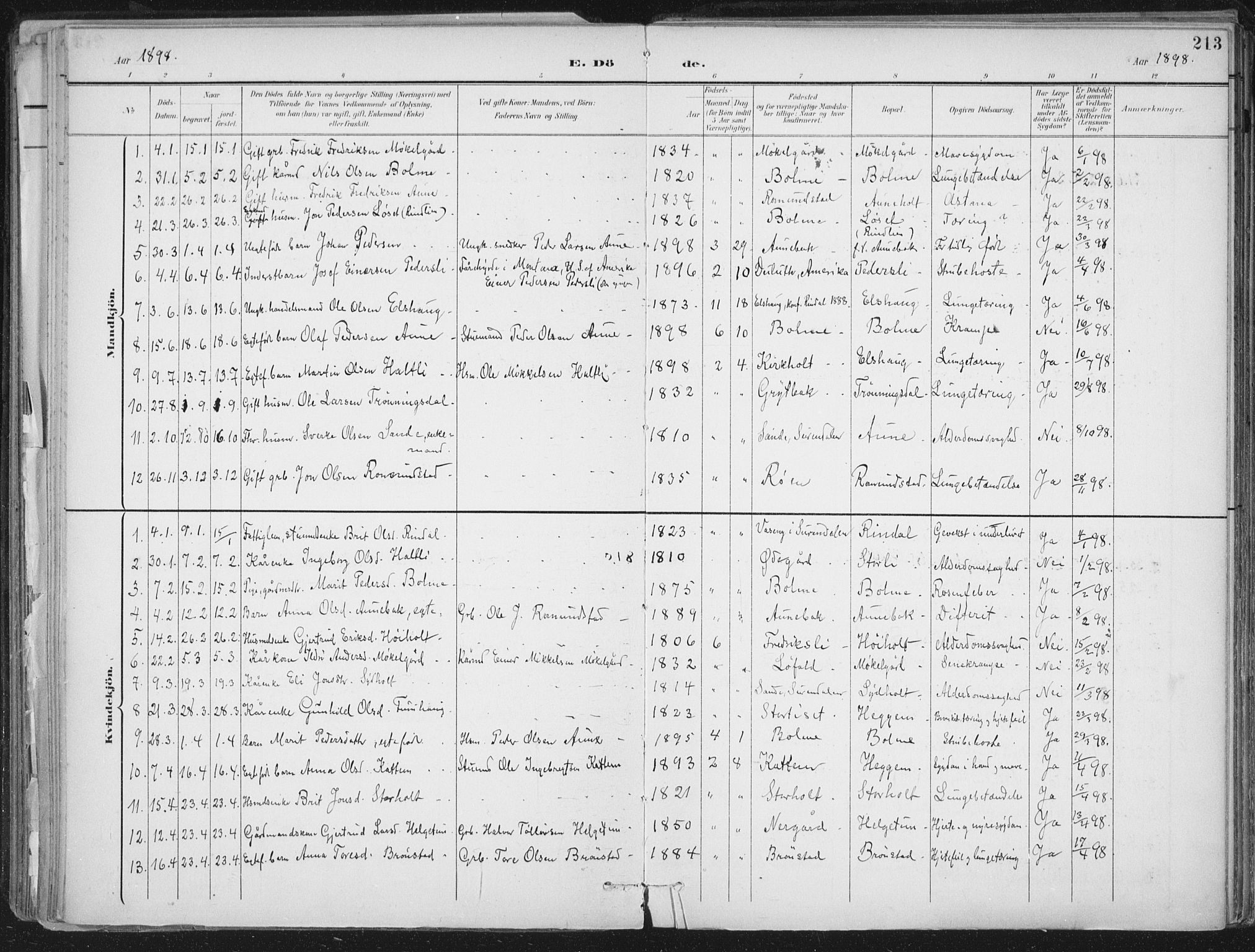 Ministerialprotokoller, klokkerbøker og fødselsregistre - Møre og Romsdal, SAT/A-1454/598/L1072: Ministerialbok nr. 598A06, 1896-1910, s. 213