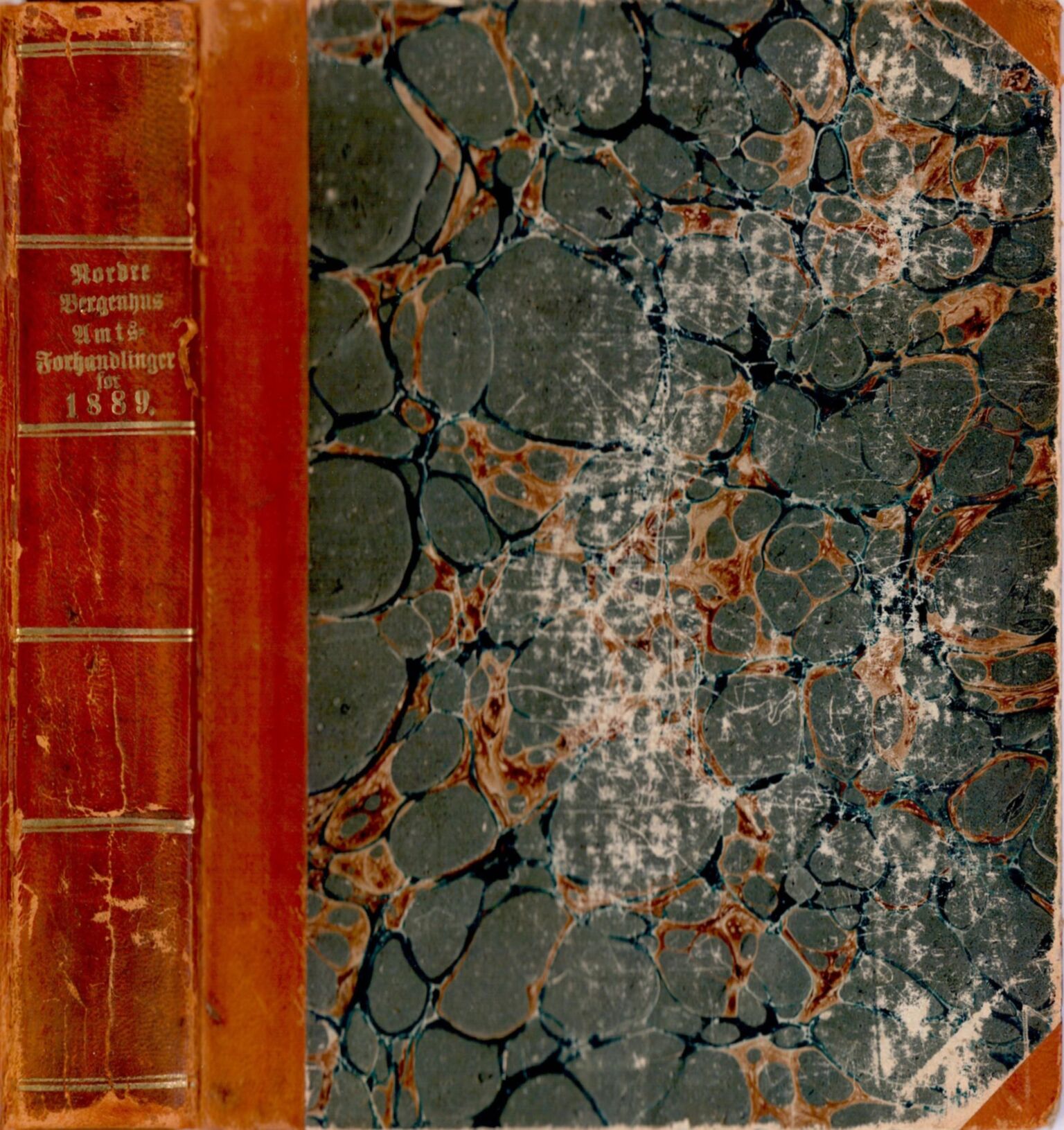 Sogn og Fjordane fylkeskommune. Fylkestinget, VLFK/FK-1096/A/Aa/Aaa/L0053: Fylkestingsforhandlingar for Sogn og Fjordane fylkeskommune, 1889