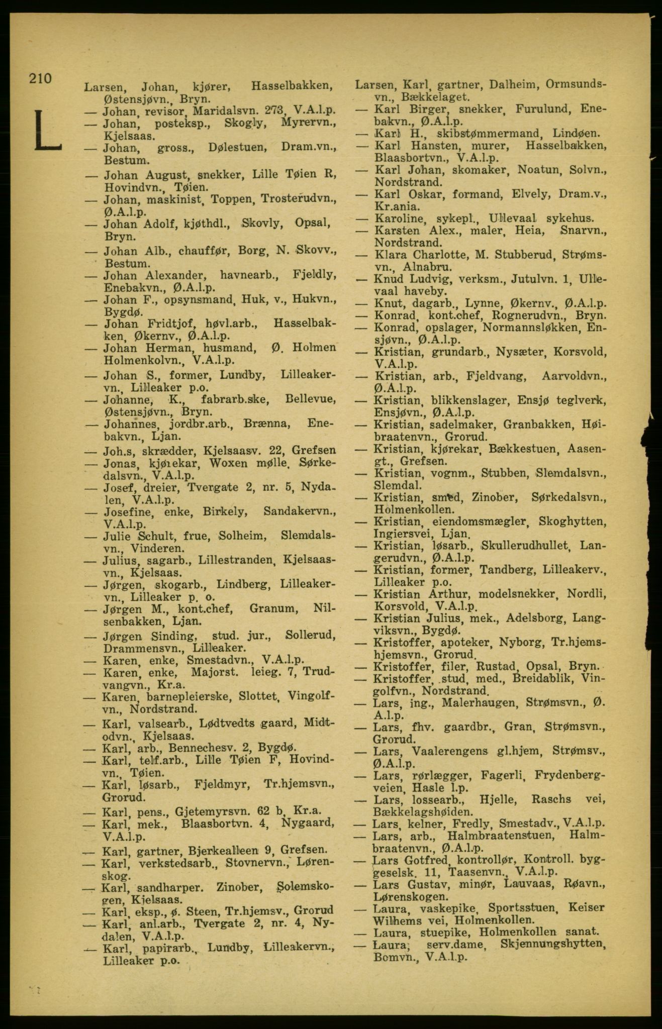 Aker adressebok/adressekalender, PUBL/001/A/003: Akers adressekalender, 1924-1925, s. 210