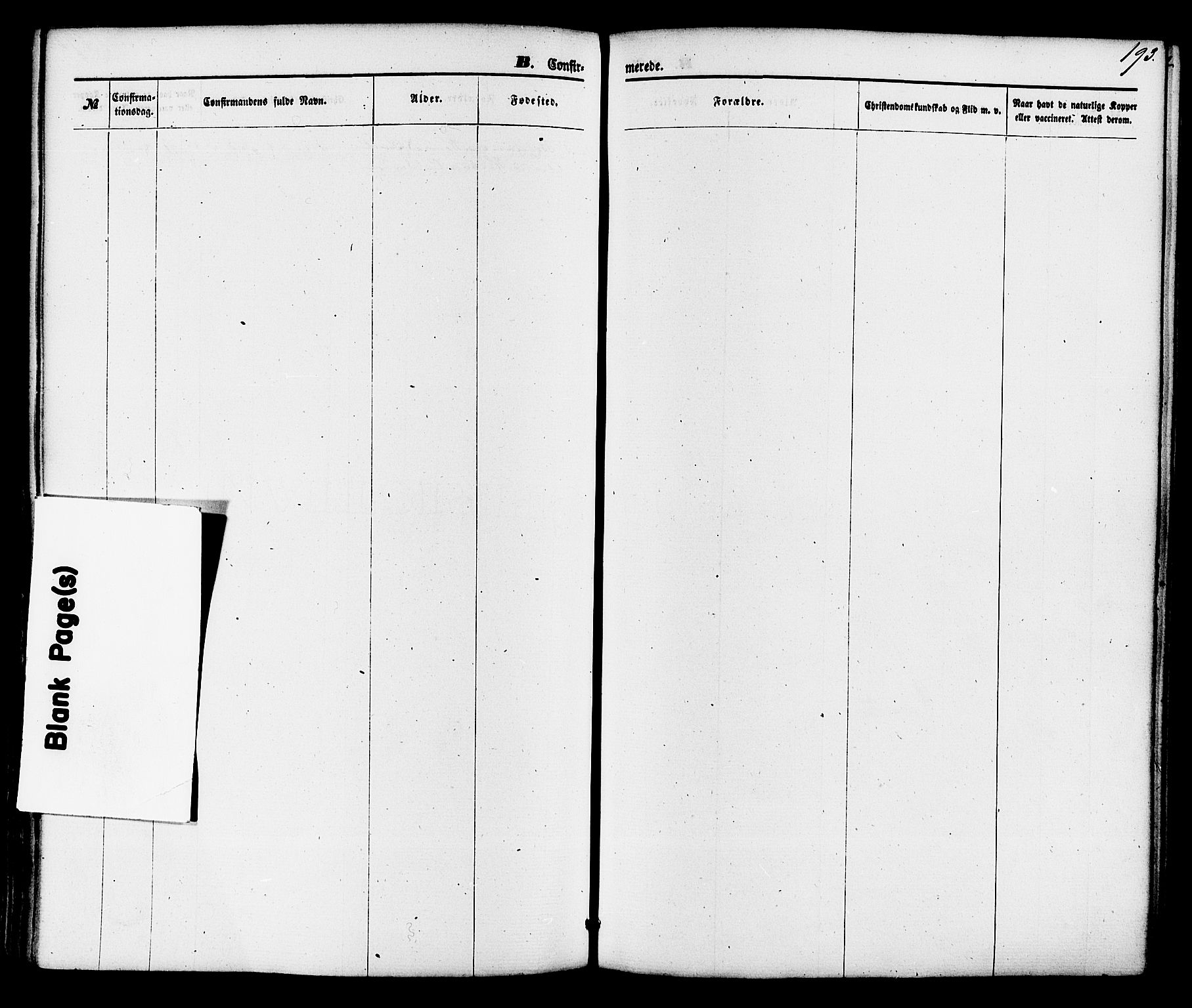 Gjerpen kirkebøker, AV/SAKO-A-265/F/Fa/L0009: Ministerialbok nr. I 9, 1872-1885, s. 193