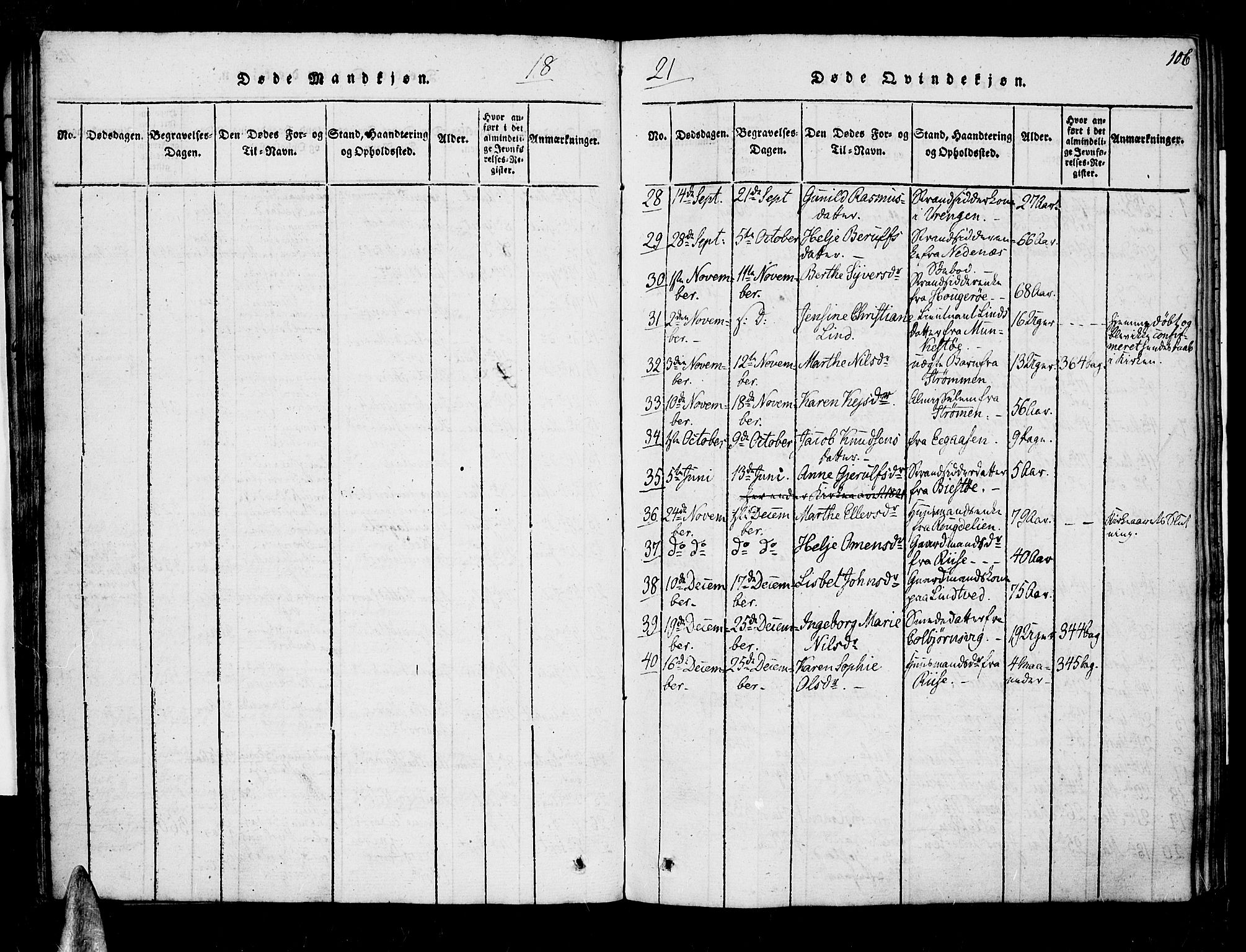 Øyestad sokneprestkontor, AV/SAK-1111-0049/F/Fa/L0012: Ministerialbok nr. A 12, 1816-1827, s. 106