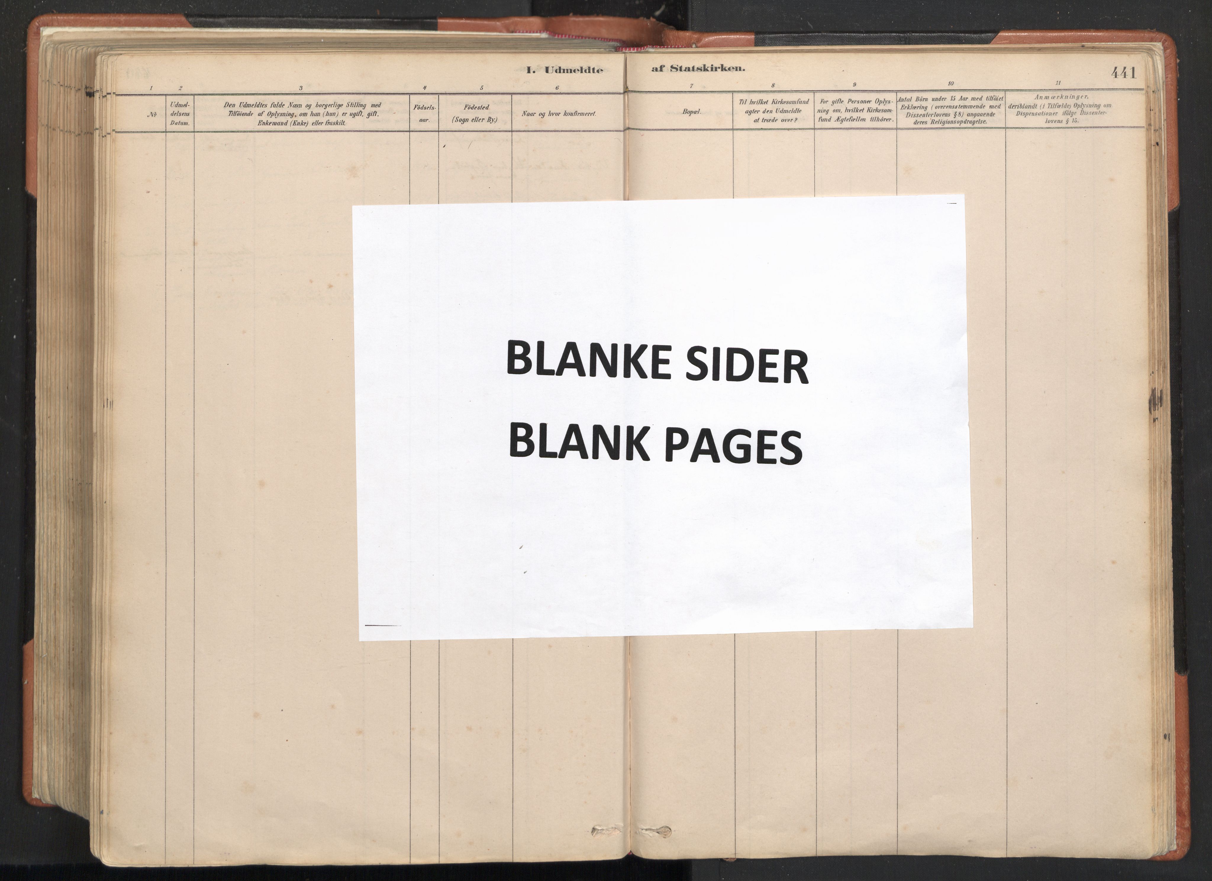 Ministerialprotokoller, klokkerbøker og fødselsregistre - Nordland, SAT/A-1459/817/L0264: Ministerialbok nr. 817A04, 1878-1907, s. 441