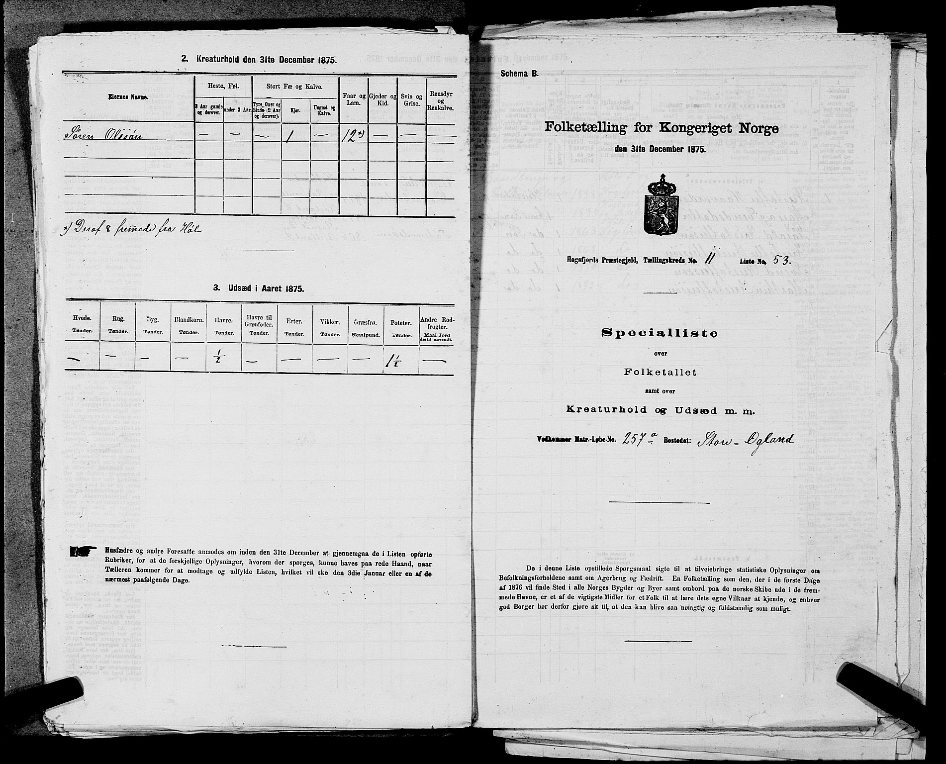 SAST, Folketelling 1875 for 1128P Høgsfjord prestegjeld, 1875, s. 1001