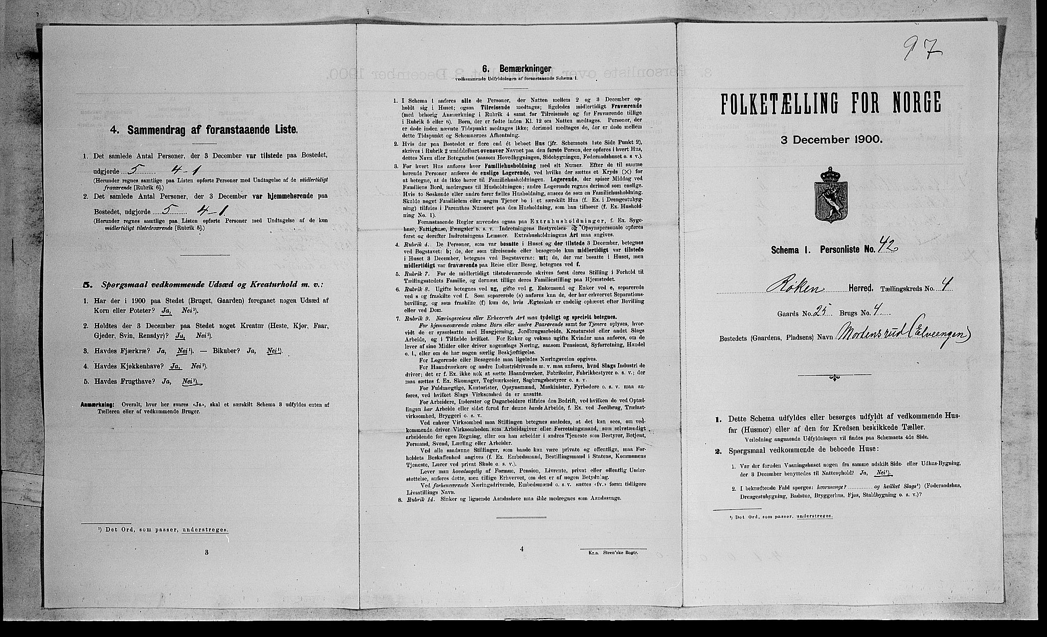 RA, Folketelling 1900 for 0627 Røyken herred, 1900, s. 597