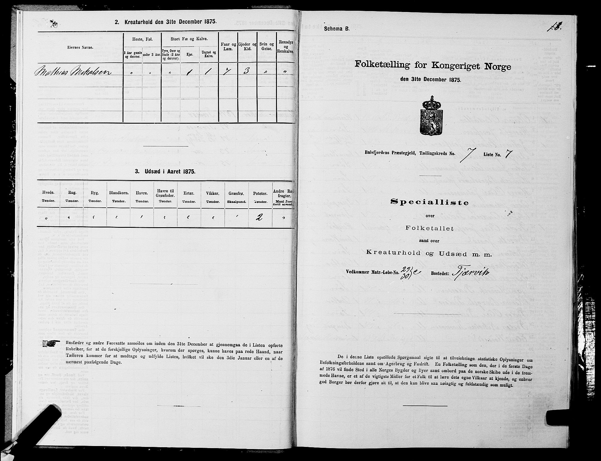 SATØ, Folketelling 1875 for 1933P Balsfjord prestegjeld, 1875, s. 4013