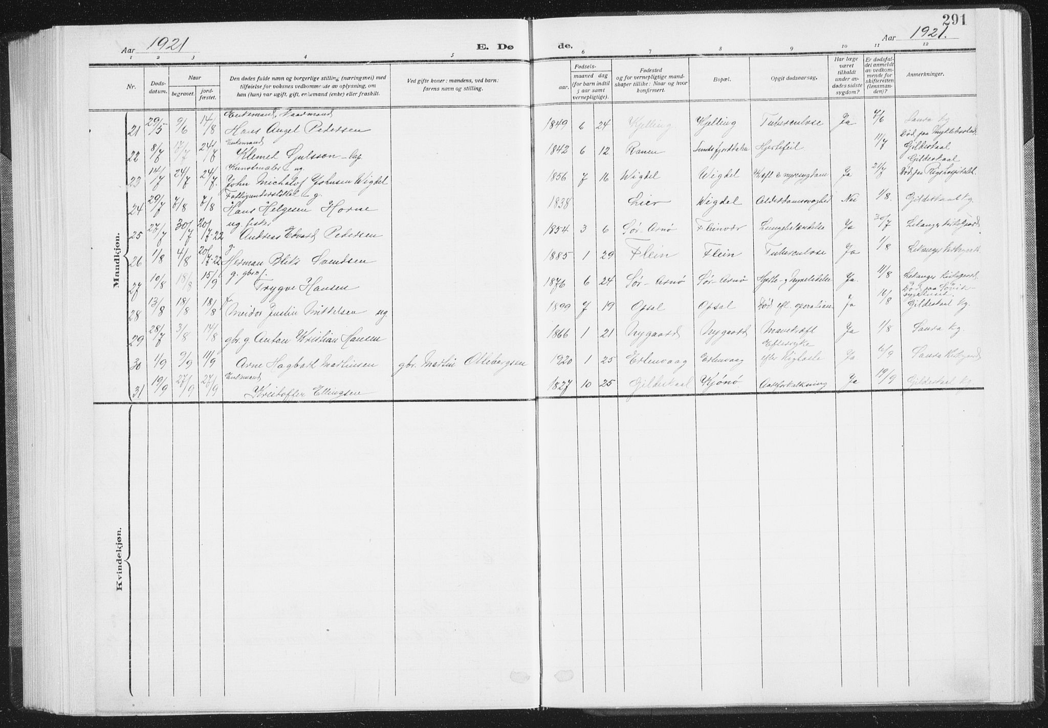 Ministerialprotokoller, klokkerbøker og fødselsregistre - Nordland, AV/SAT-A-1459/805/L0104: Ministerialbok nr. 805A09, 1909-1926, s. 291