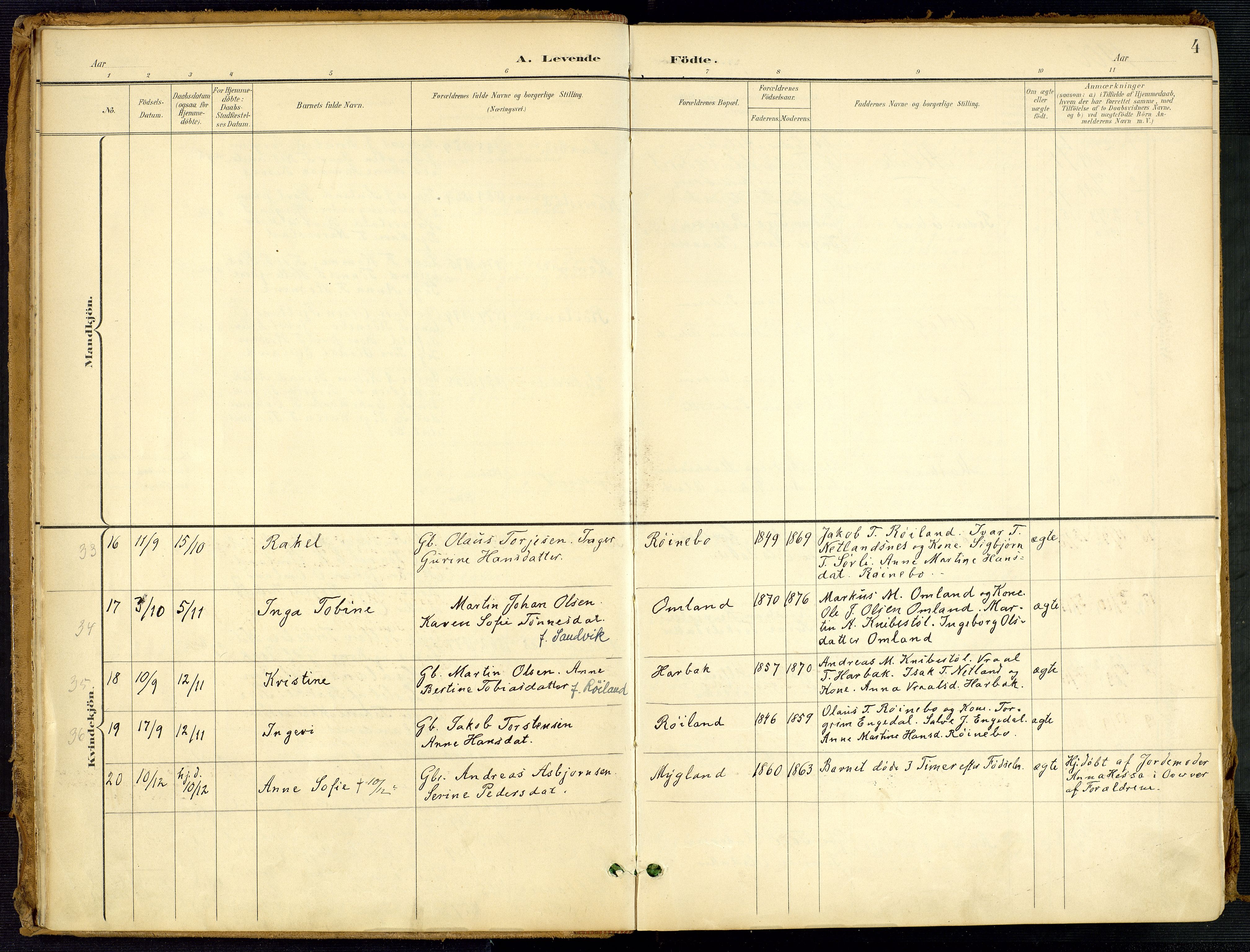 Fjotland sokneprestkontor, SAK/1111-0010/F/Fa/L0003: Ministerialbok nr. A 3, 1899-1917, s. 4