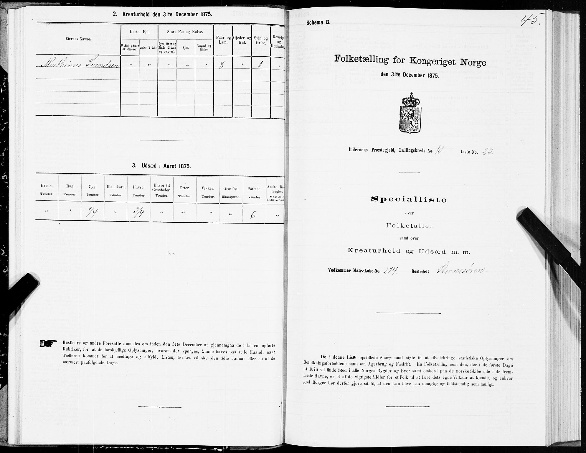 SAT, Folketelling 1875 for 1729P Inderøy prestegjeld, 1875, s. 6045