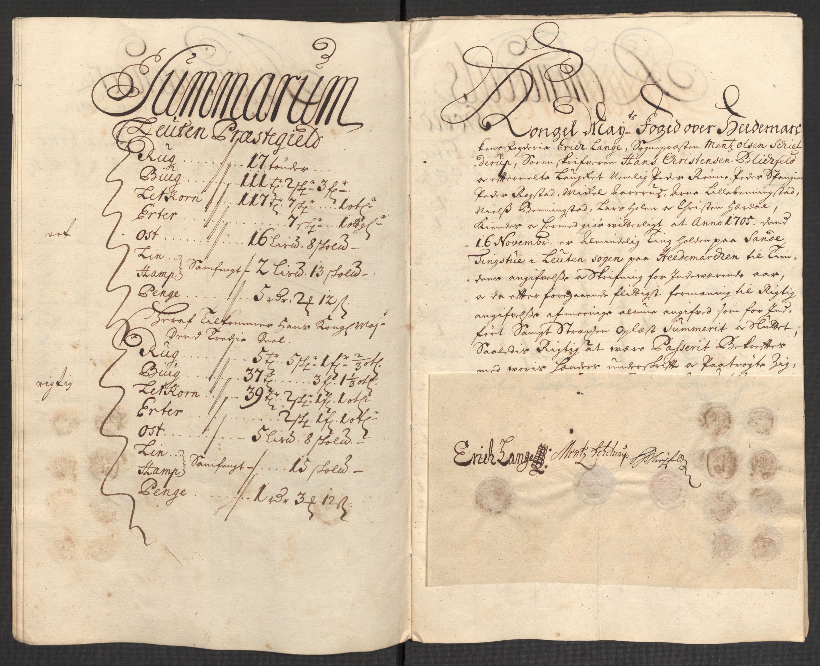 Rentekammeret inntil 1814, Reviderte regnskaper, Fogderegnskap, RA/EA-4092/R16/L1042: Fogderegnskap Hedmark, 1705, s. 48