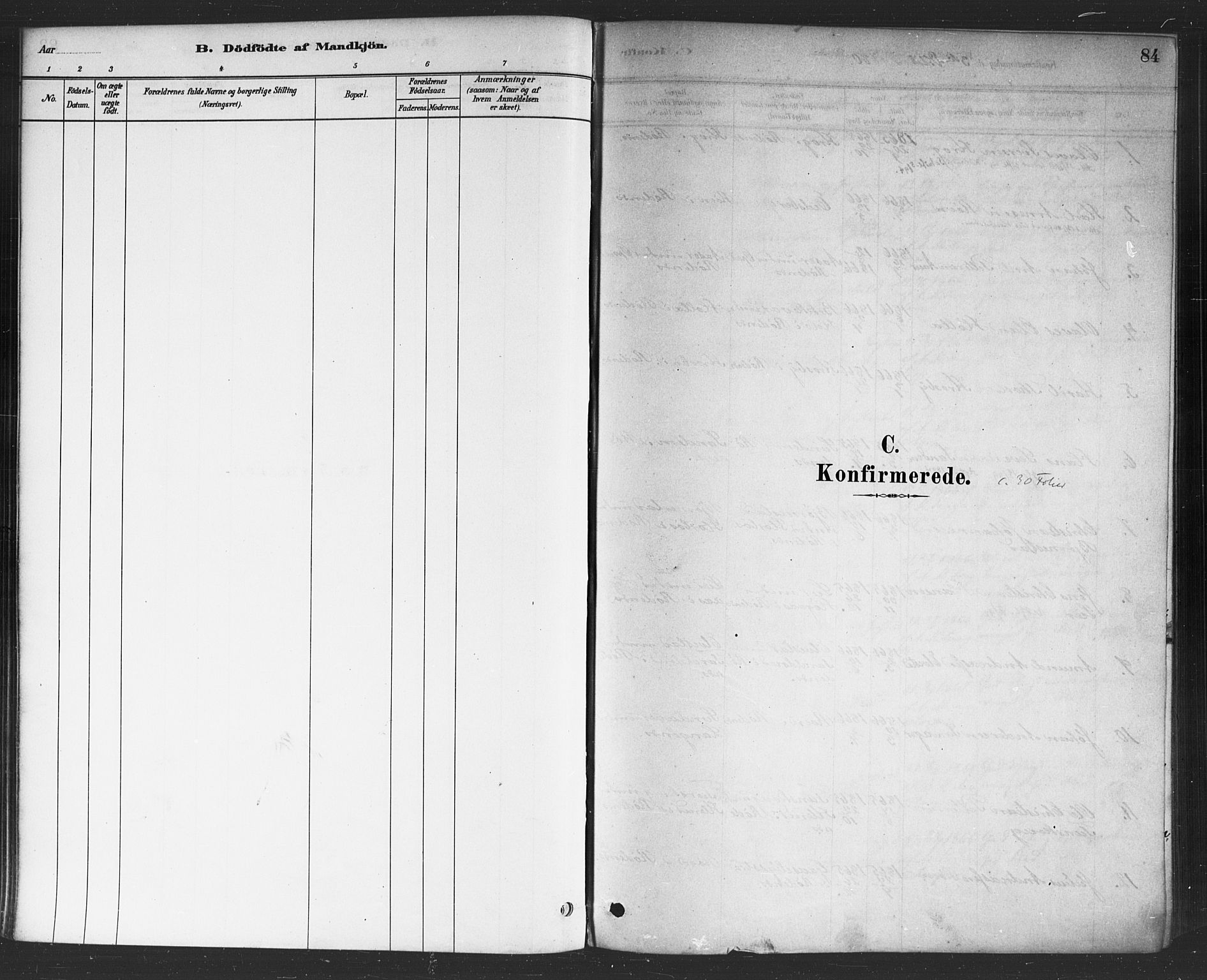 Rødenes prestekontor Kirkebøker, AV/SAO-A-2005/F/Fa/L0009: Ministerialbok nr. I 9, 1880-1889, s. 84