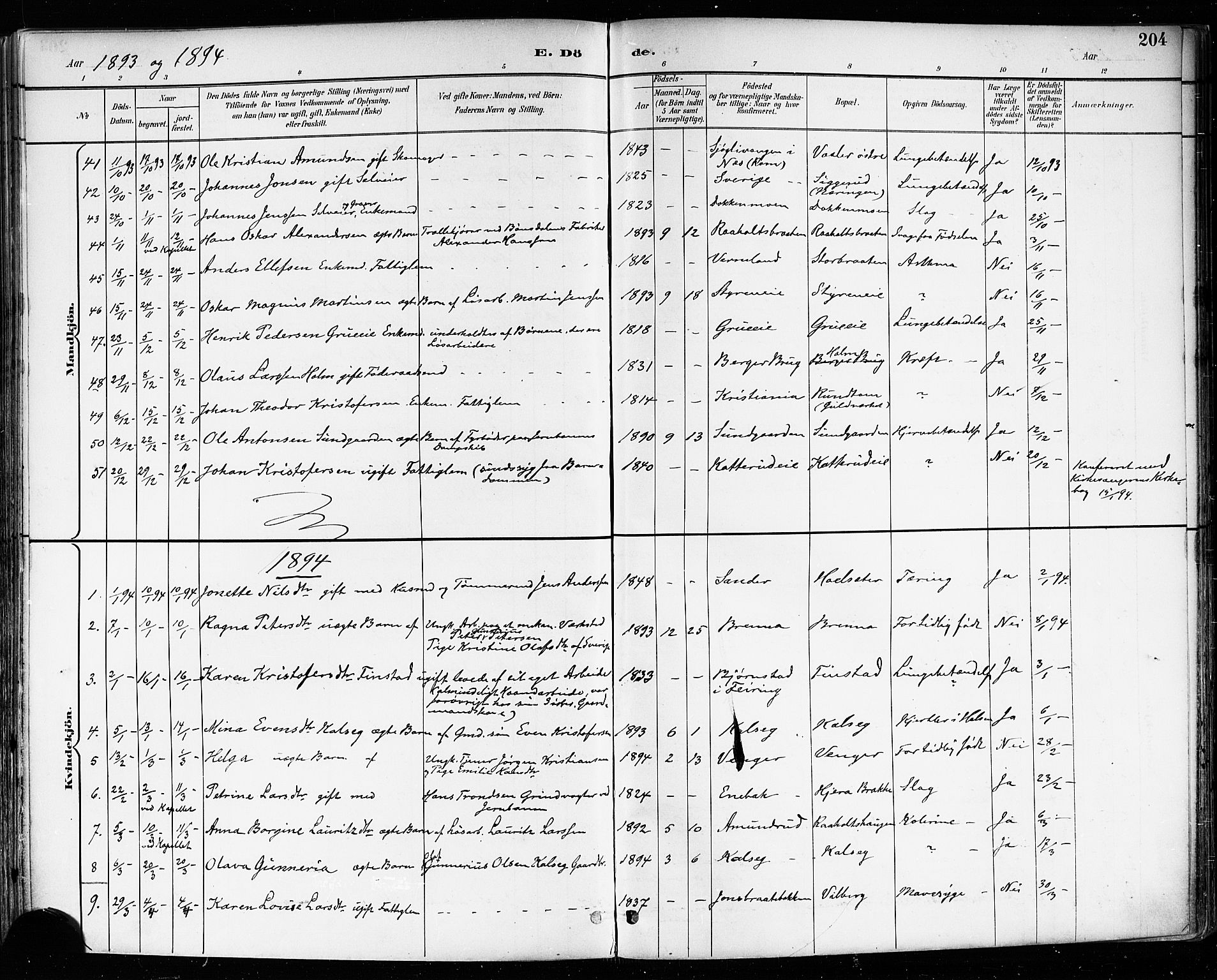 Eidsvoll prestekontor Kirkebøker, AV/SAO-A-10888/F/Fa/L0004: Ministerialbok nr. I 4, 1891-1900, s. 204