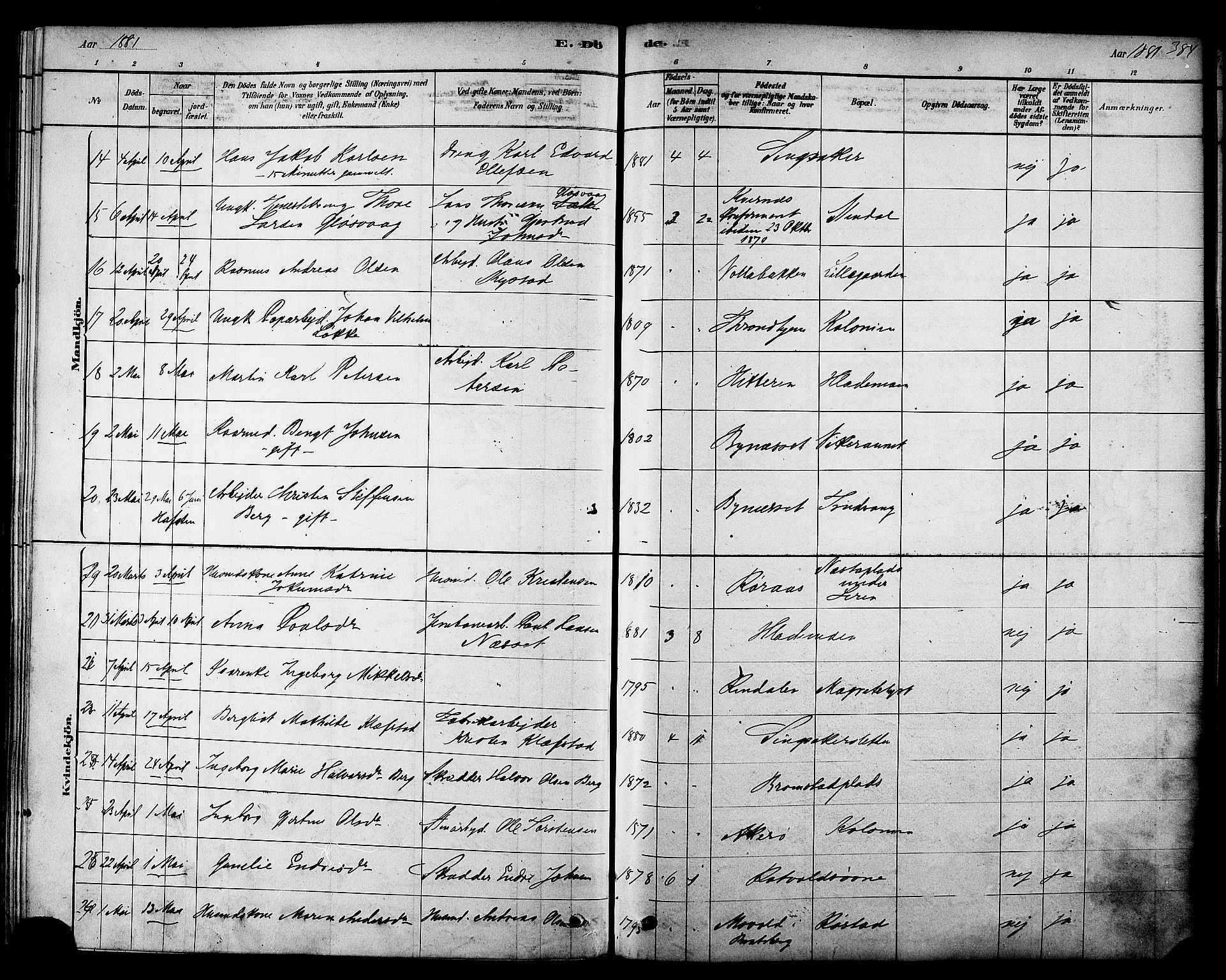 Ministerialprotokoller, klokkerbøker og fødselsregistre - Sør-Trøndelag, SAT/A-1456/606/L0294: Ministerialbok nr. 606A09, 1878-1886, s. 384