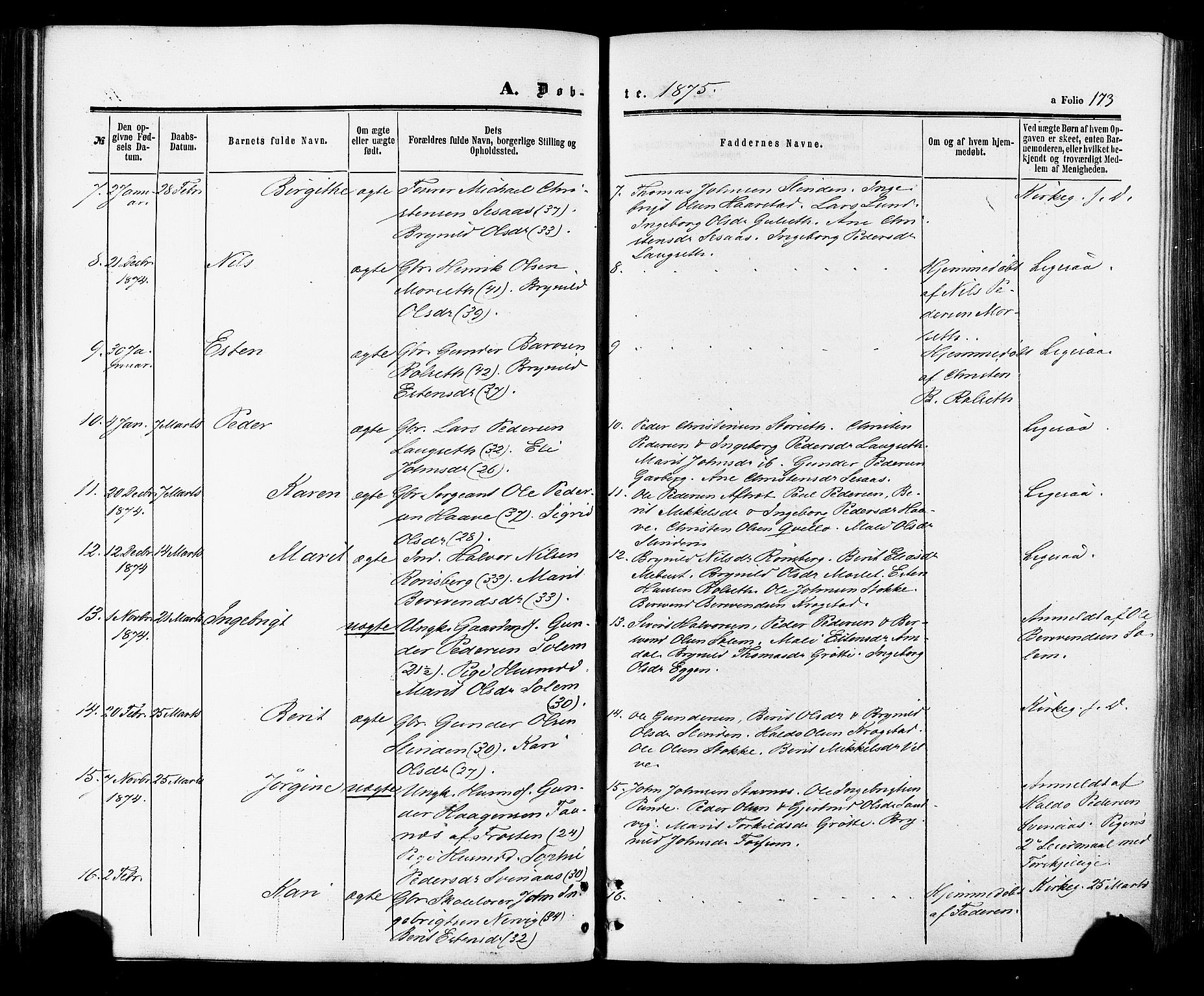 Ministerialprotokoller, klokkerbøker og fødselsregistre - Sør-Trøndelag, SAT/A-1456/695/L1147: Ministerialbok nr. 695A07, 1860-1877, s. 173