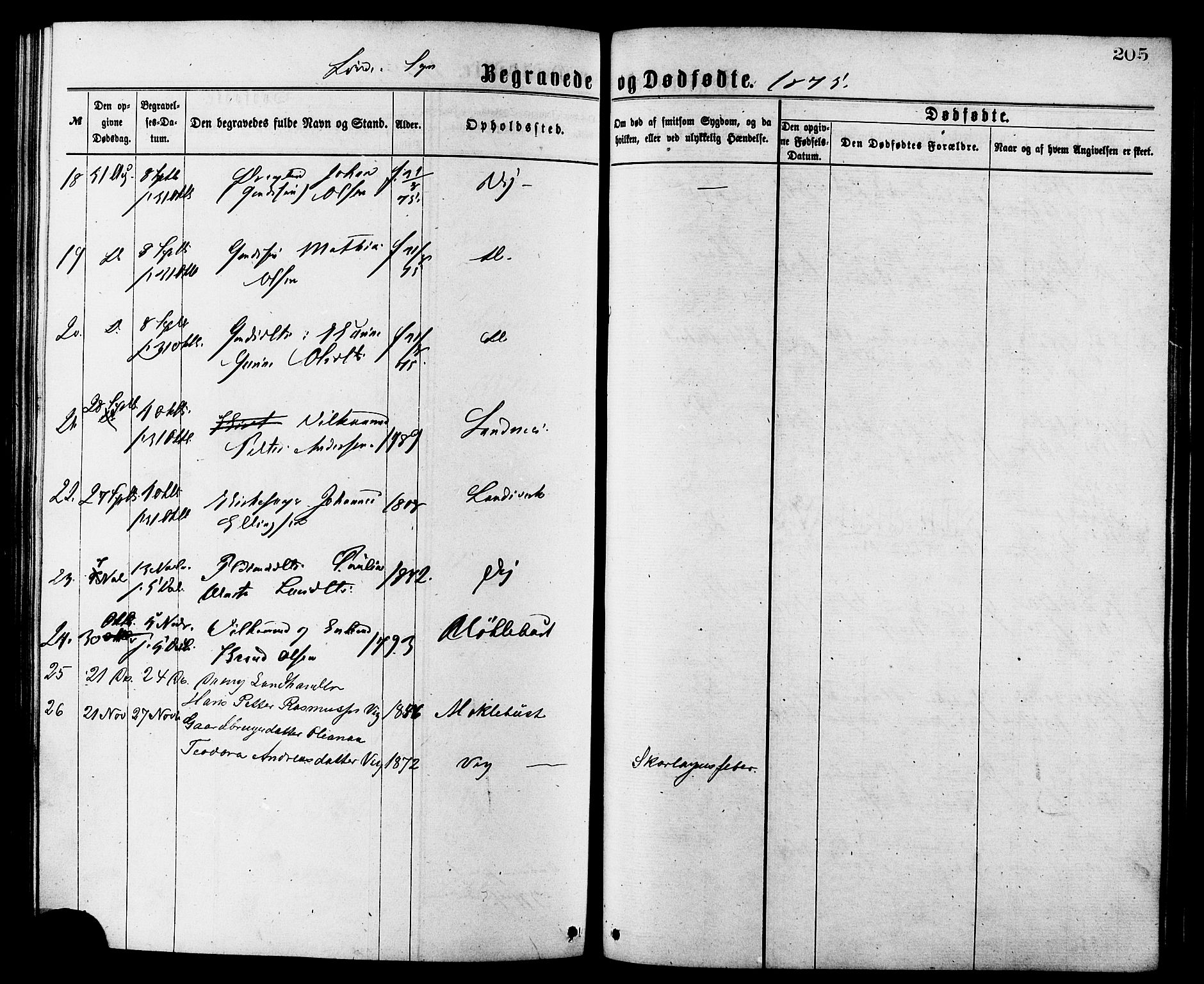 Ministerialprotokoller, klokkerbøker og fødselsregistre - Møre og Romsdal, AV/SAT-A-1454/502/L0024: Ministerialbok nr. 502A02, 1873-1884, s. 205