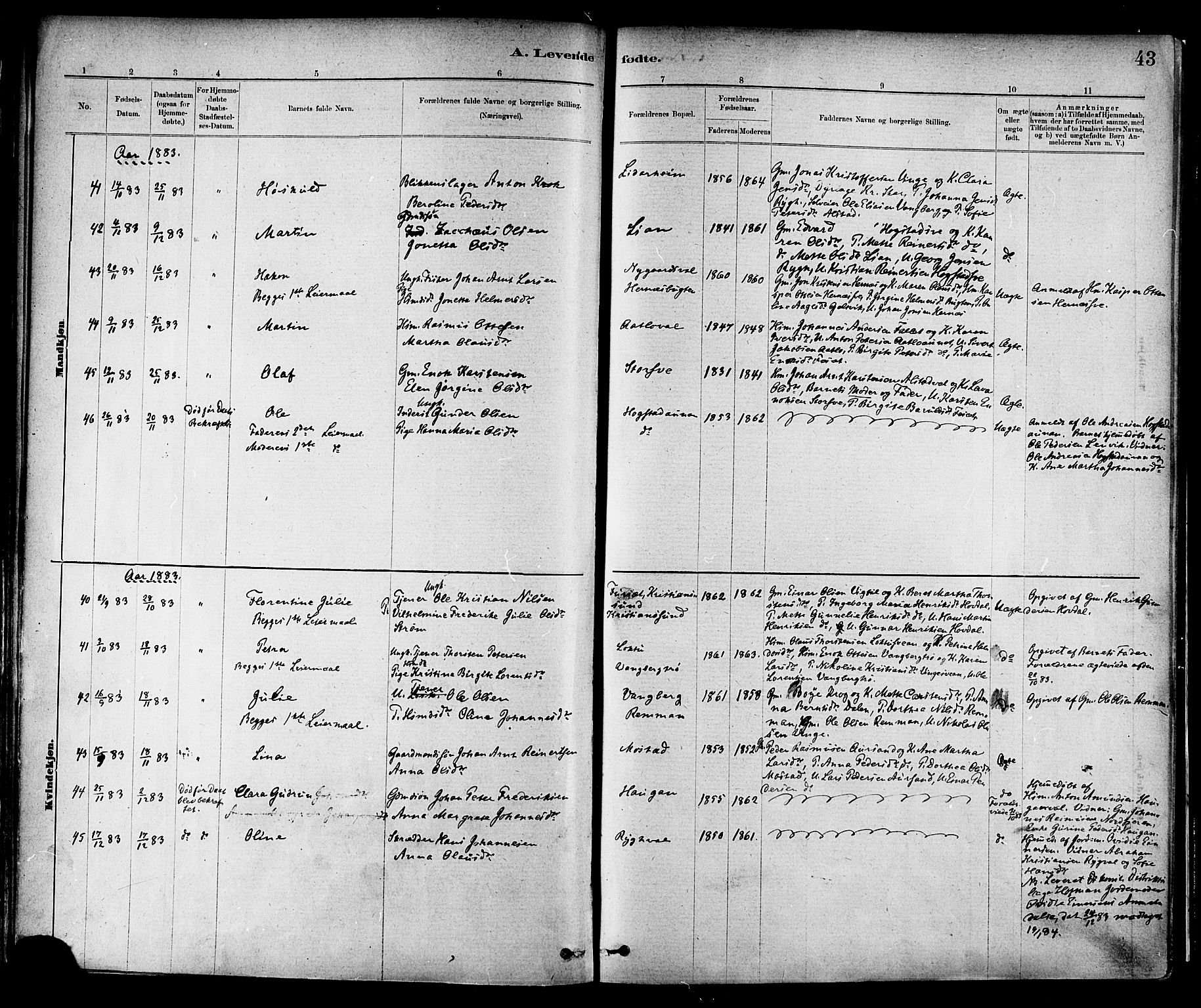 Ministerialprotokoller, klokkerbøker og fødselsregistre - Nord-Trøndelag, SAT/A-1458/713/L0120: Ministerialbok nr. 713A09, 1878-1887, s. 43