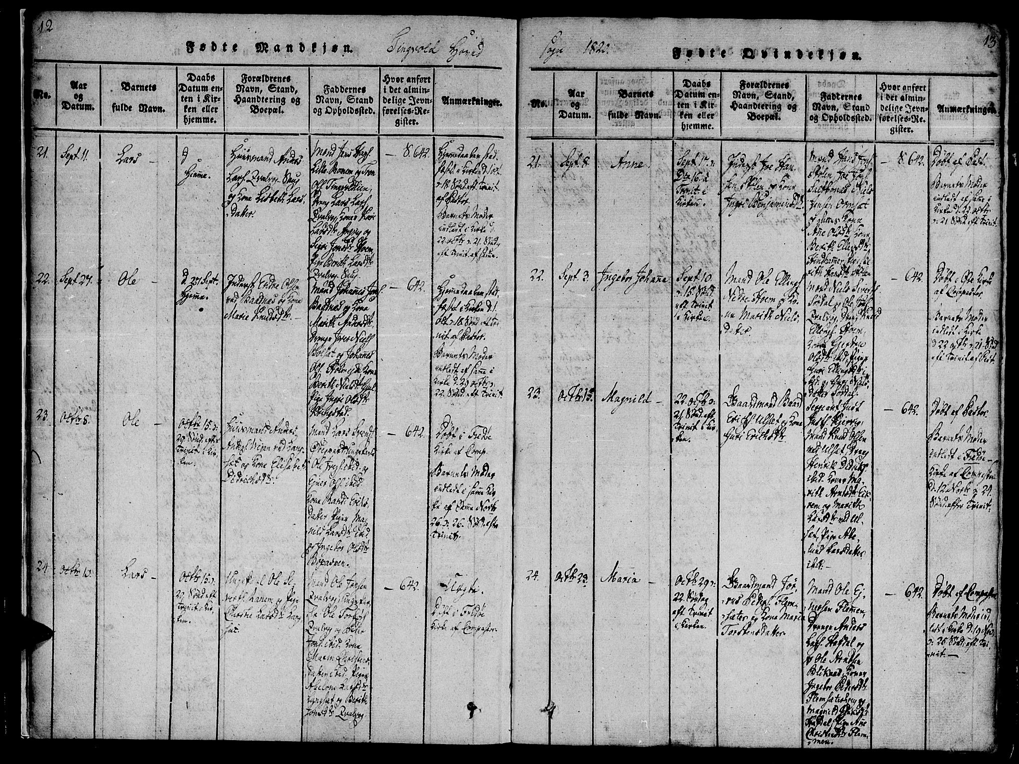 Ministerialprotokoller, klokkerbøker og fødselsregistre - Møre og Romsdal, AV/SAT-A-1454/586/L0982: Ministerialbok nr. 586A08, 1819-1829, s. 12-13